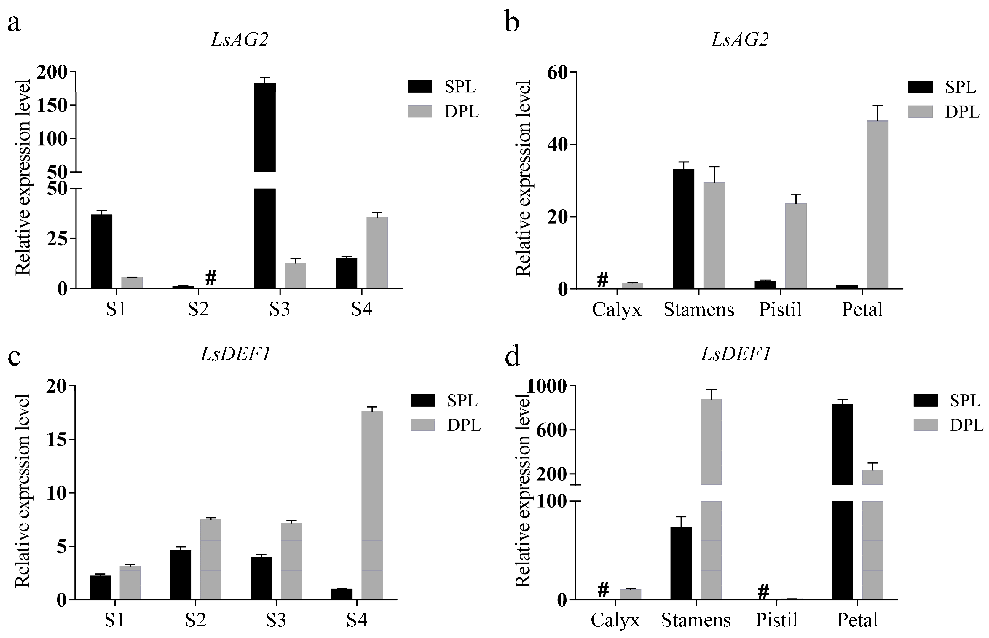Agronomy 13 00976 g002