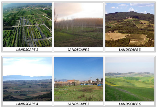 Agronomy 13 00977 g0a1