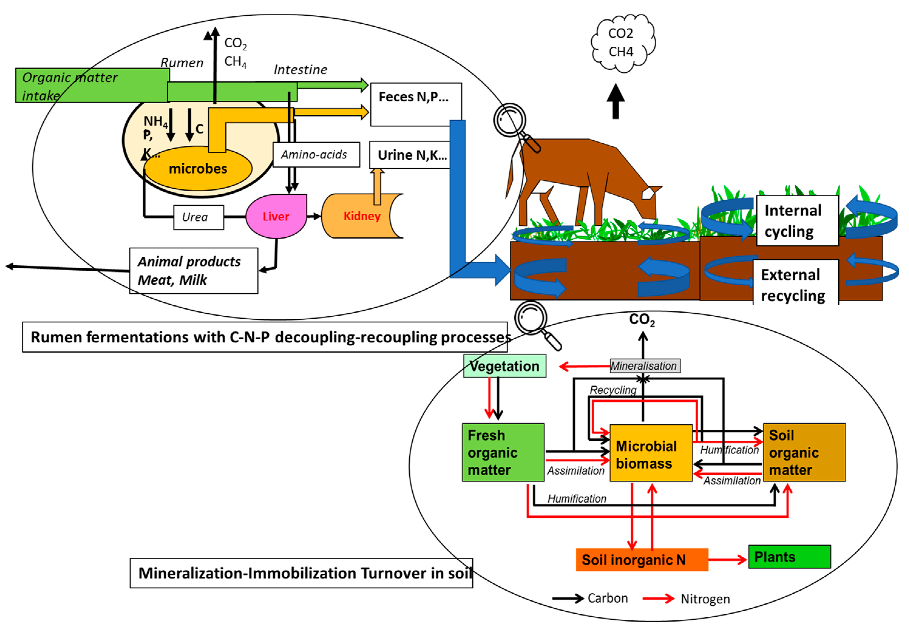 Agronomy 13 00982 g001 Agronomy 13 00982 g001