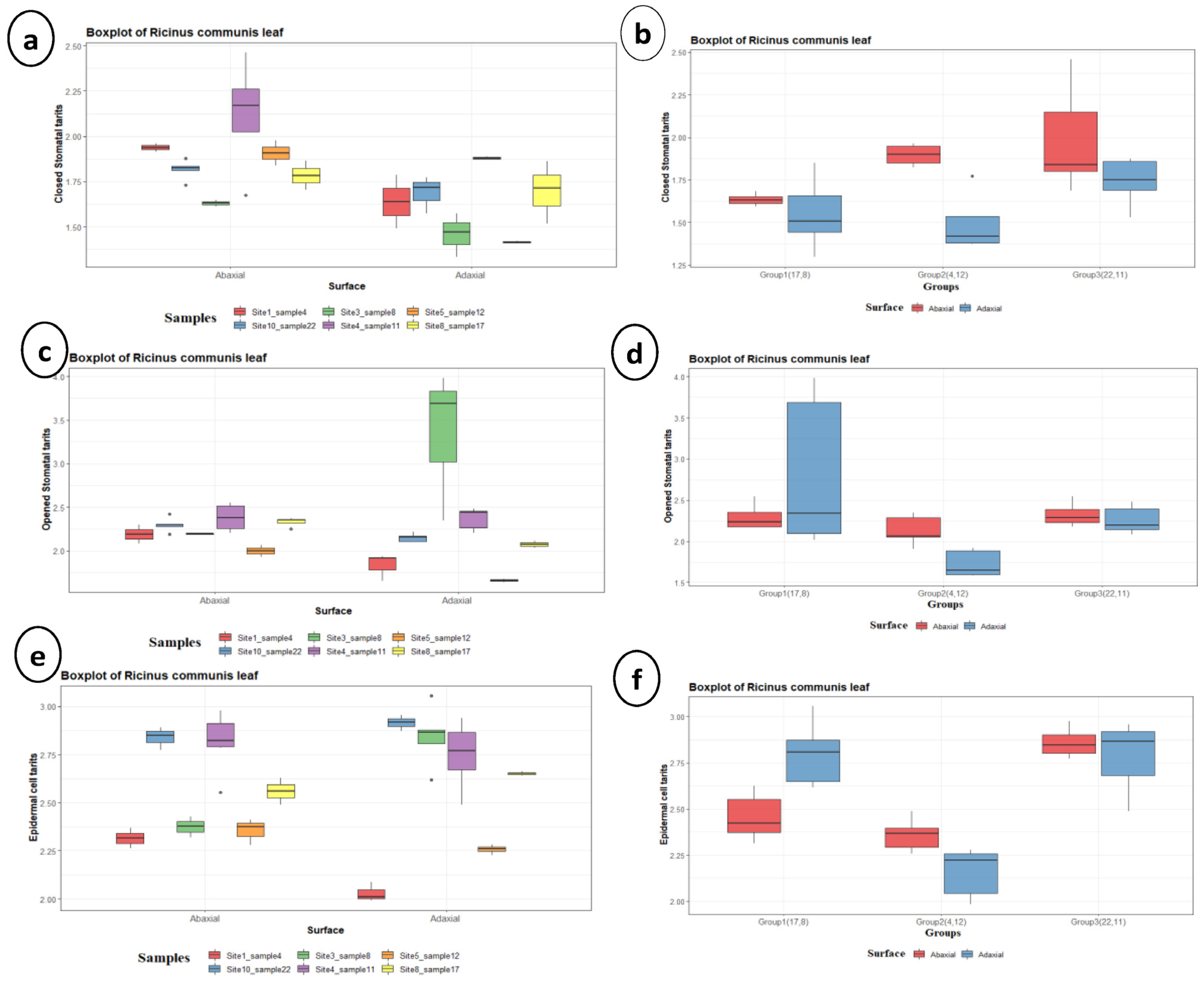 Agronomy 13 00985 g006 Agronomy 13 00985 g006