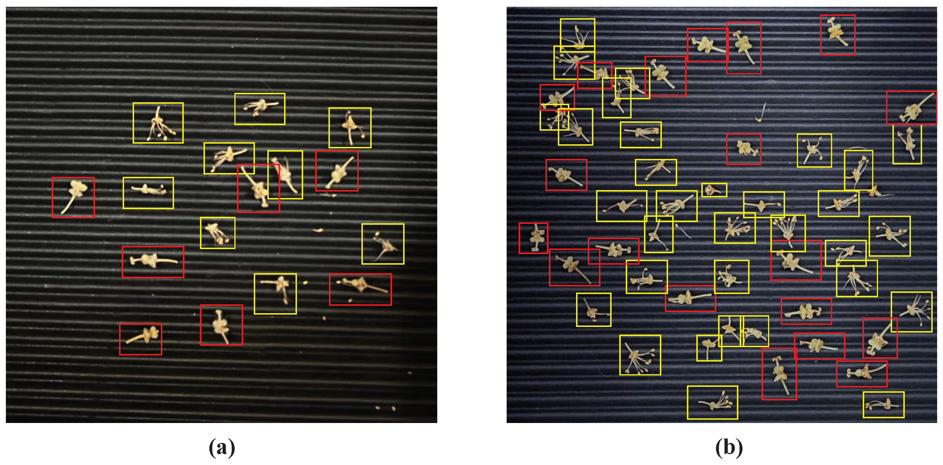 Agronomy 13 00987 g002