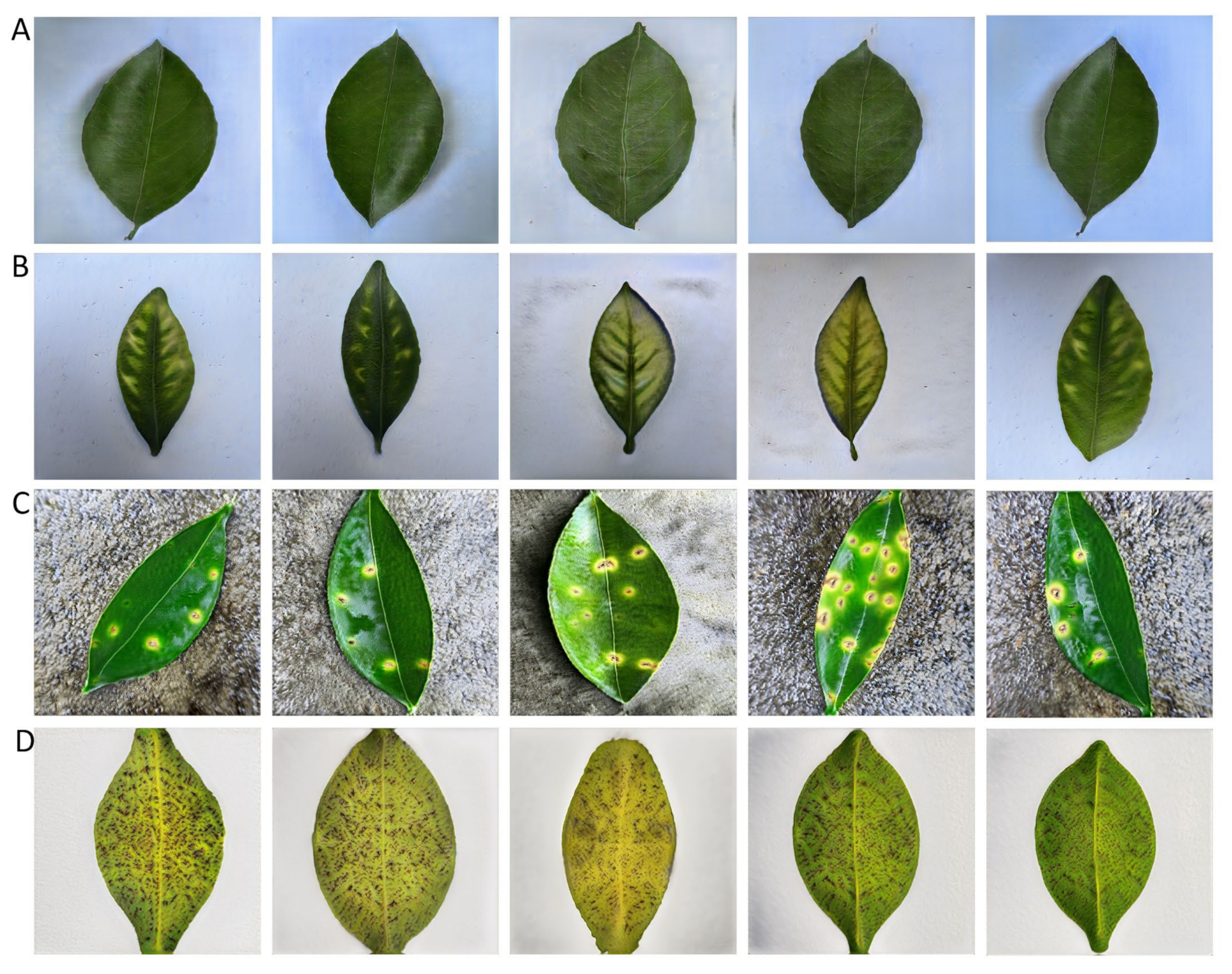 Agronomy 13 00988 g010