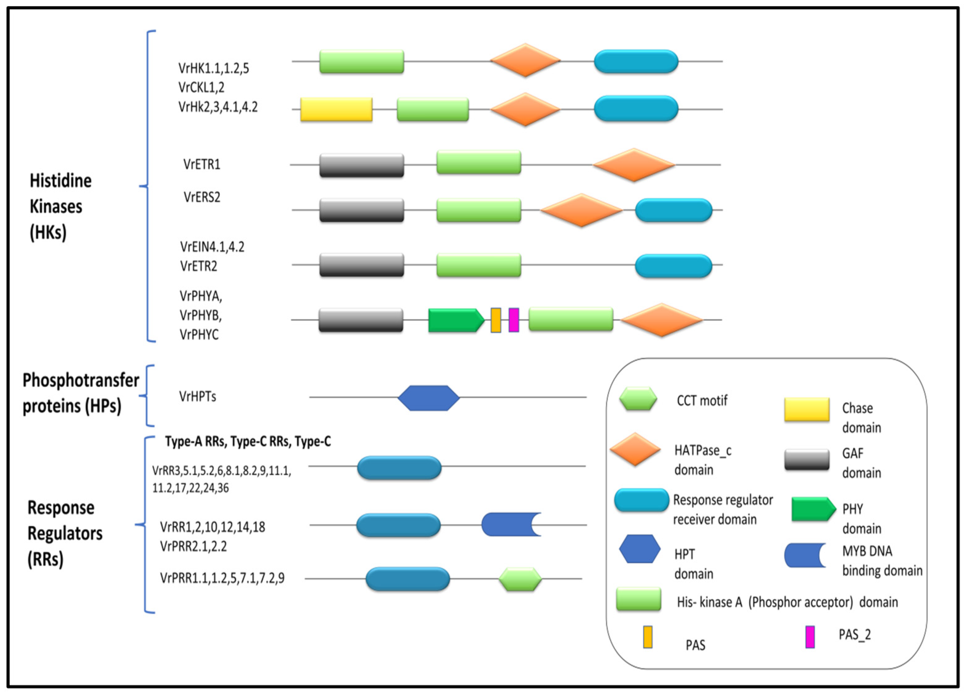 Agronomy 13 00989 g001