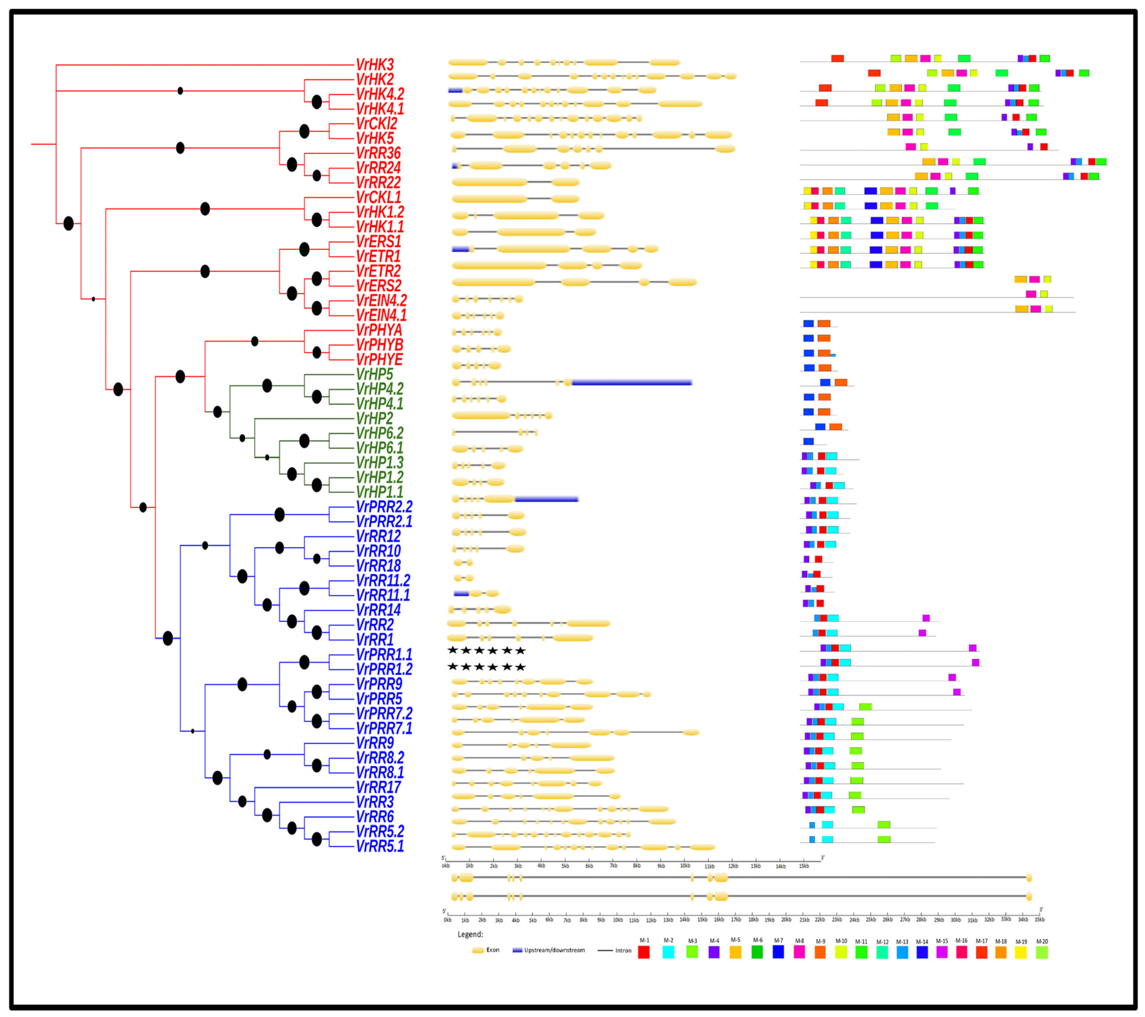 Agronomy 13 00989 g002