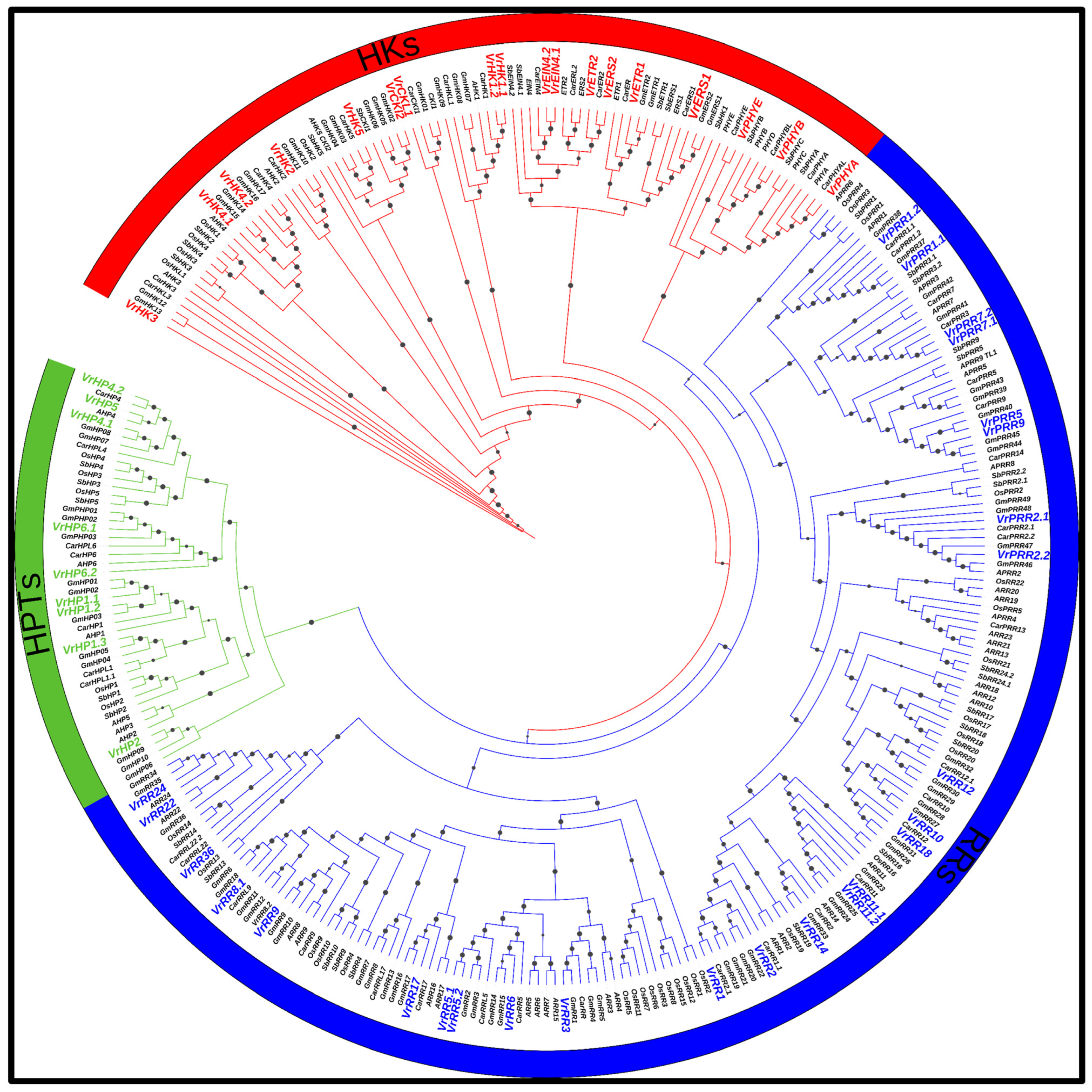 Agronomy 13 00989 g003