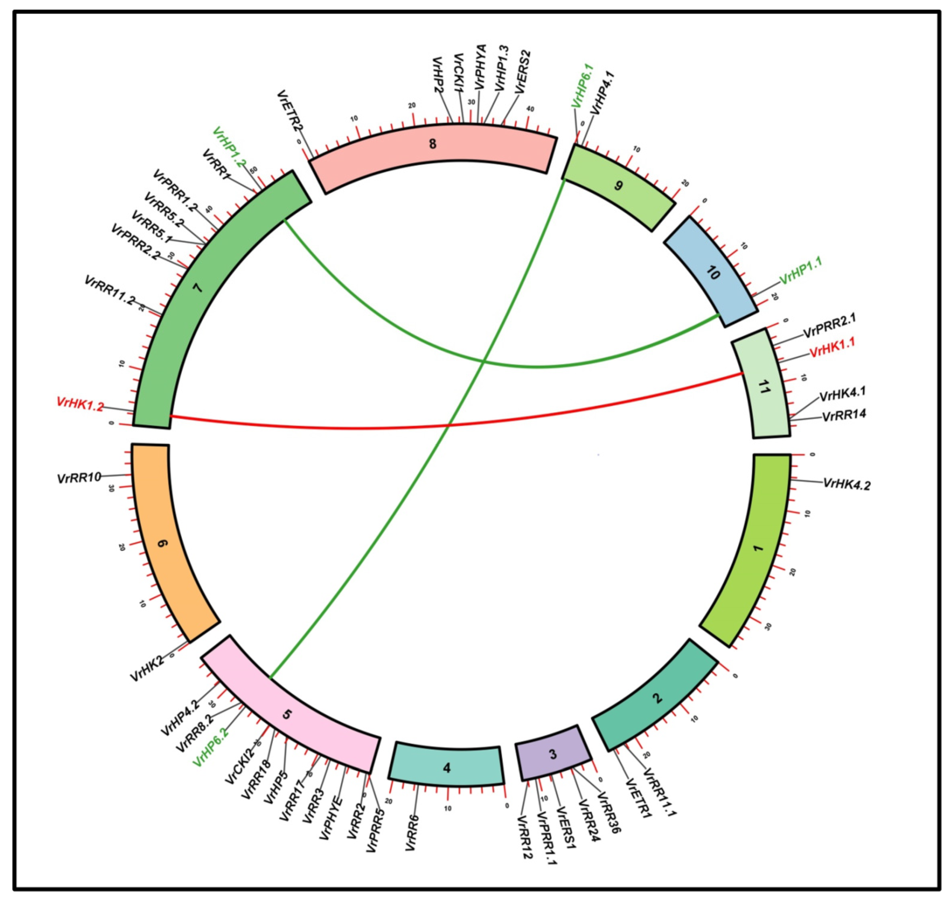 Agronomy 13 00989 g004