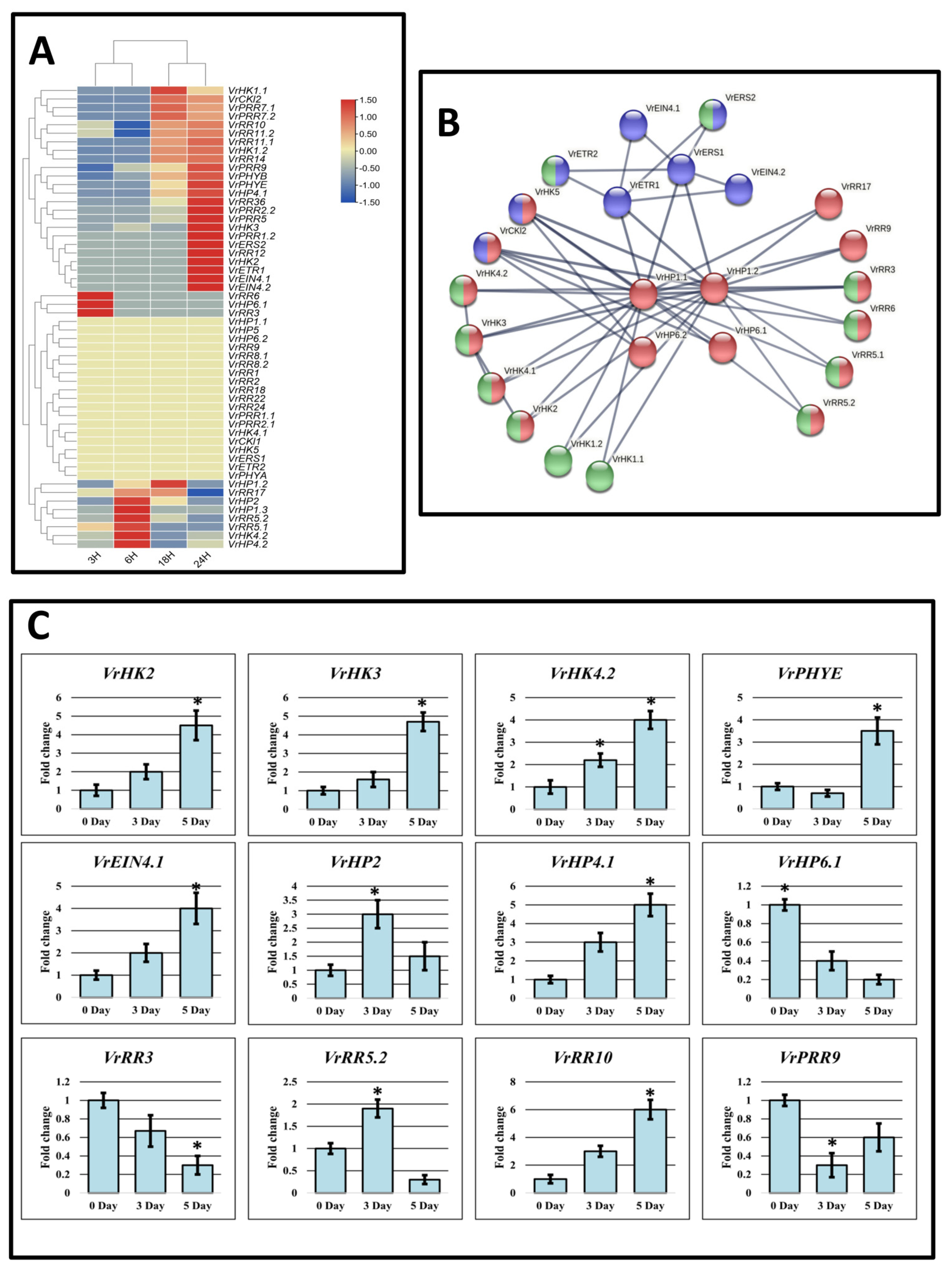 Agronomy 13 00989 g006