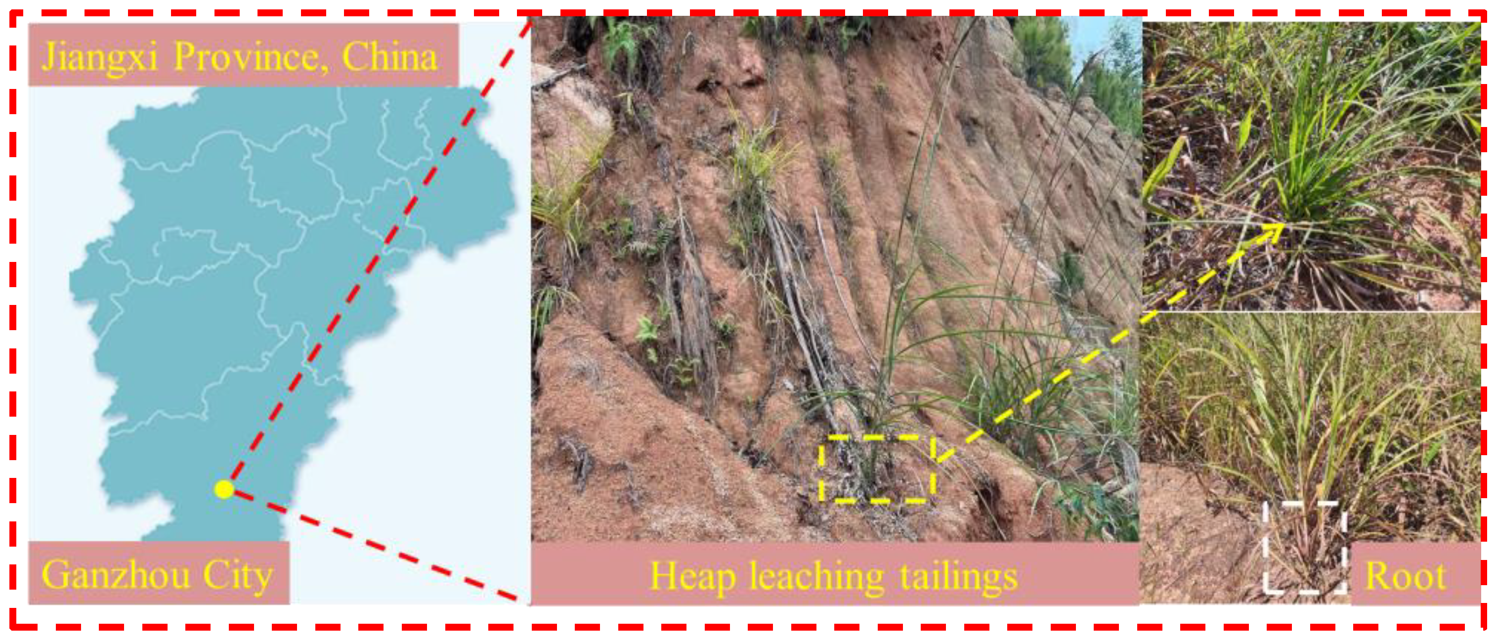 Agronomy 13 00993 g001