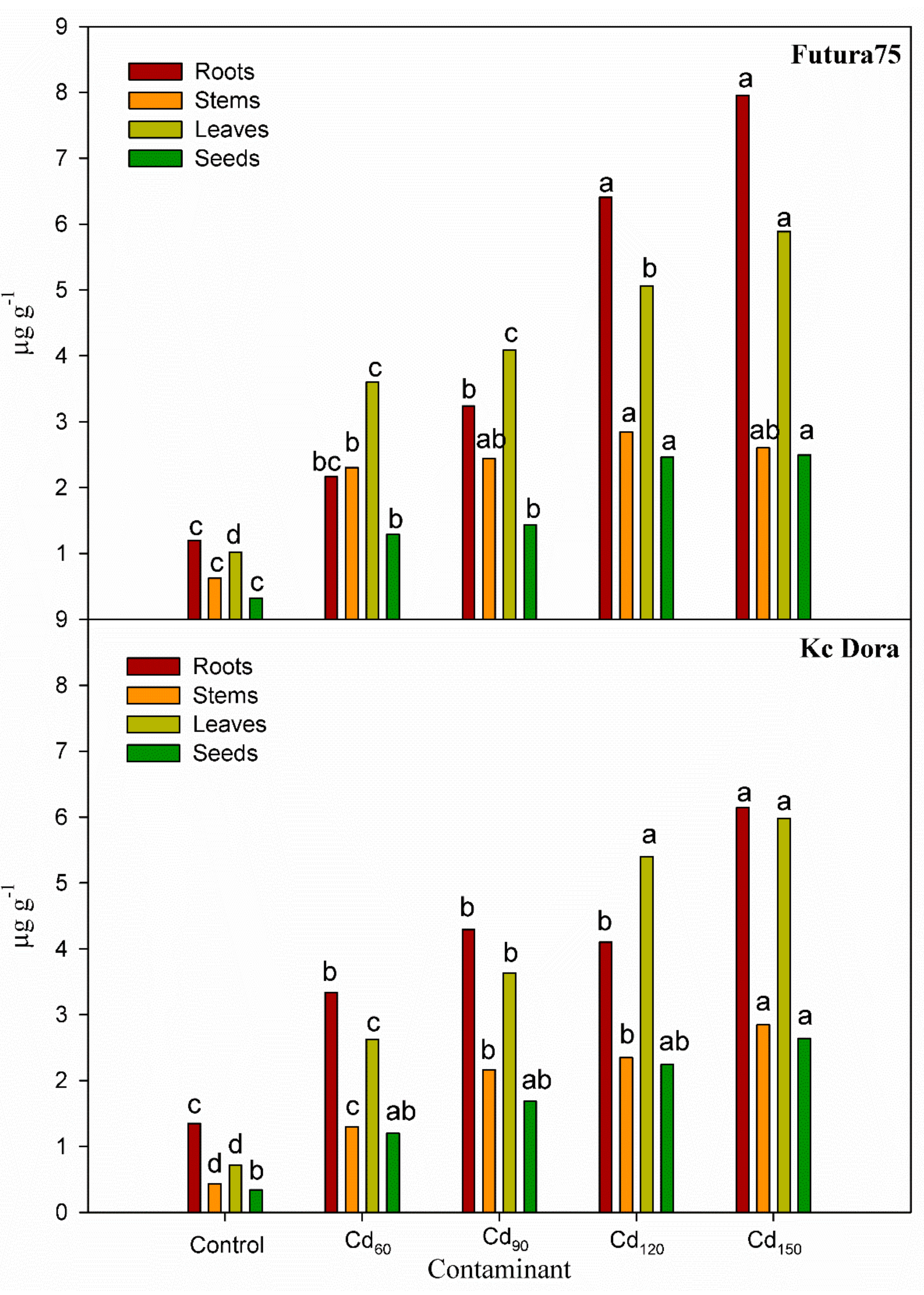 Agronomy 13 00995 g002