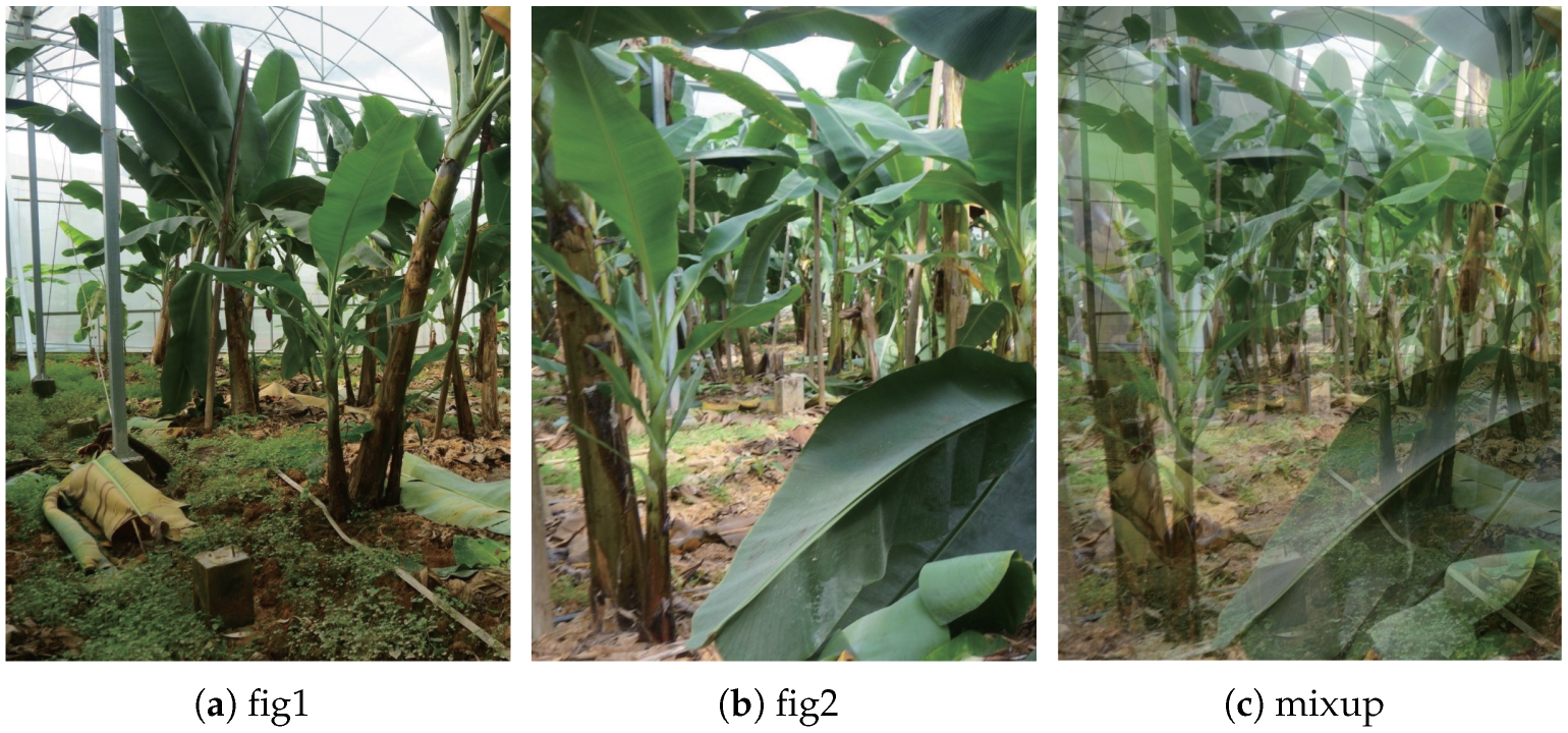 Agronomy 13 00999 g003