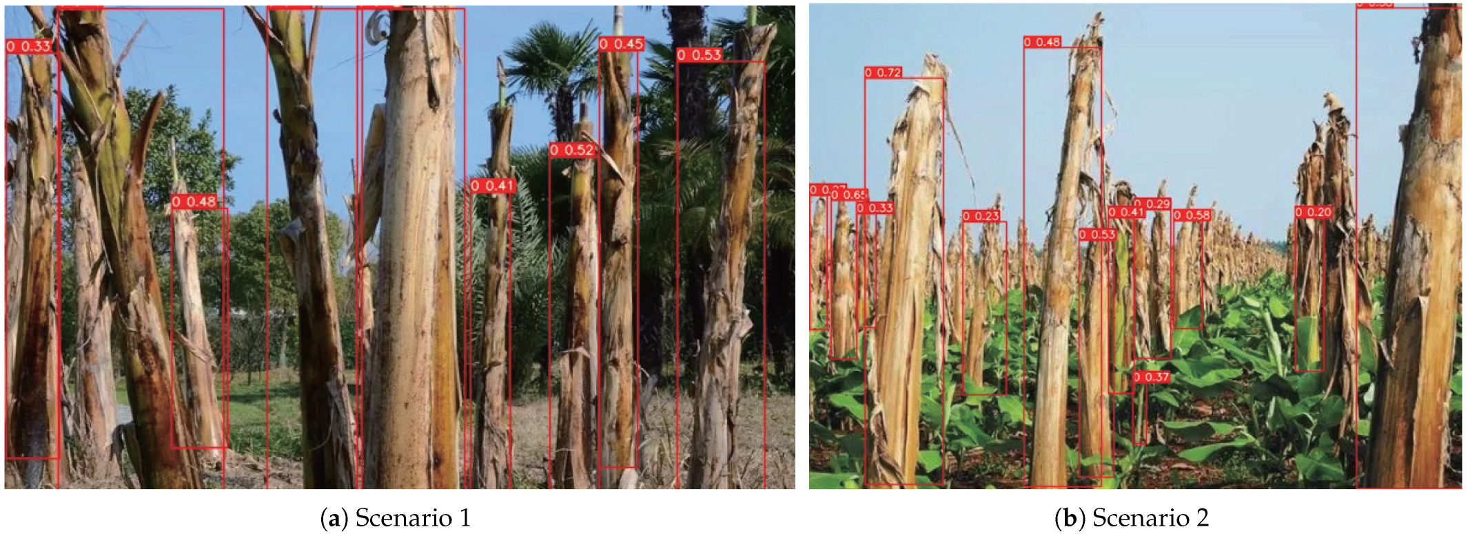 Agronomy 13 00999 g009