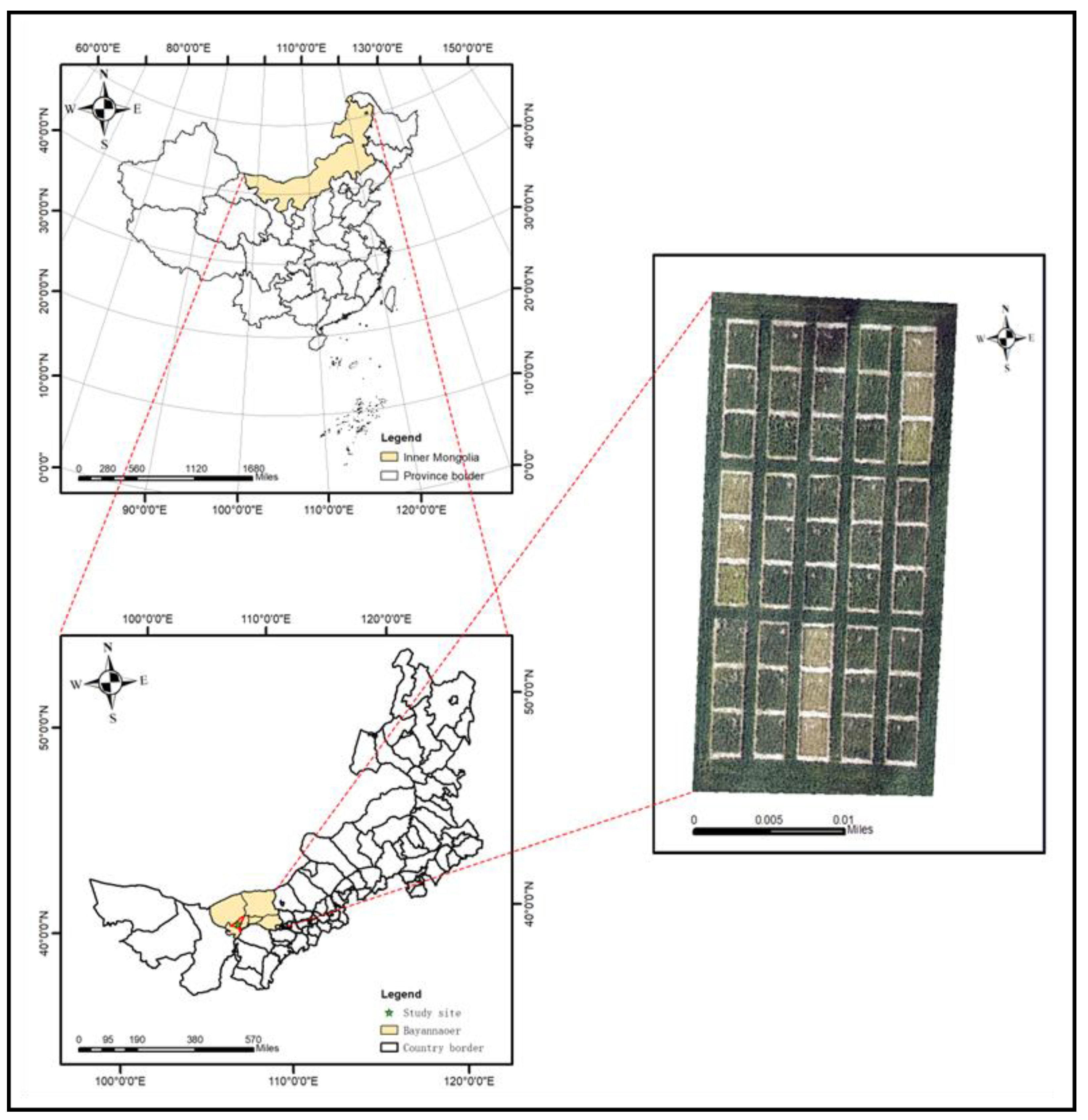 Agronomy 13 01003 g001