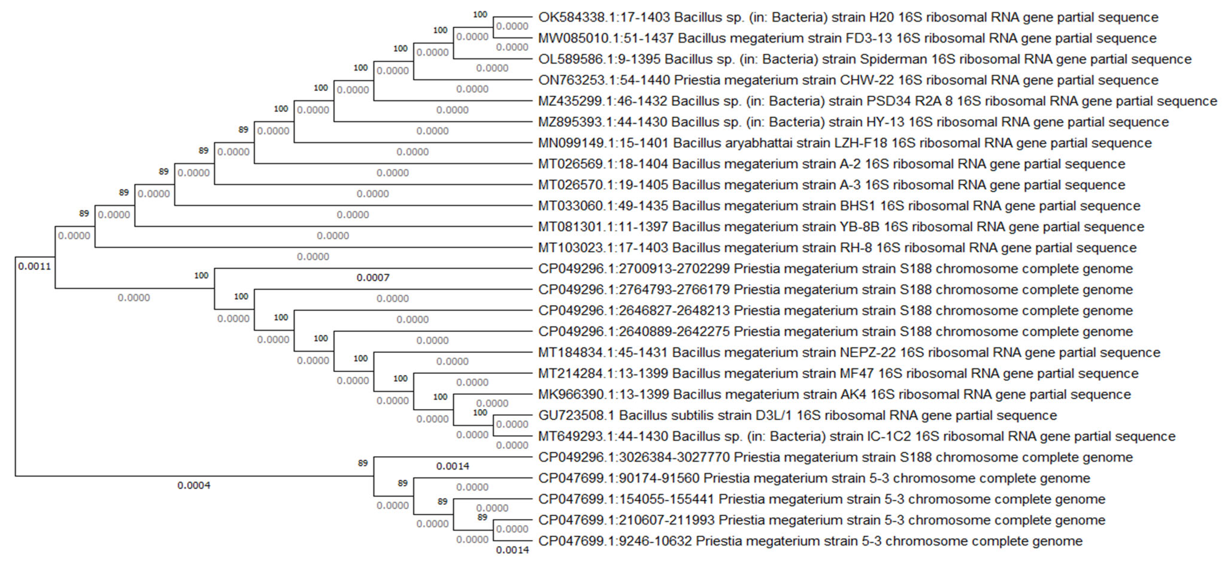 Agronomy 13 01019 g002
