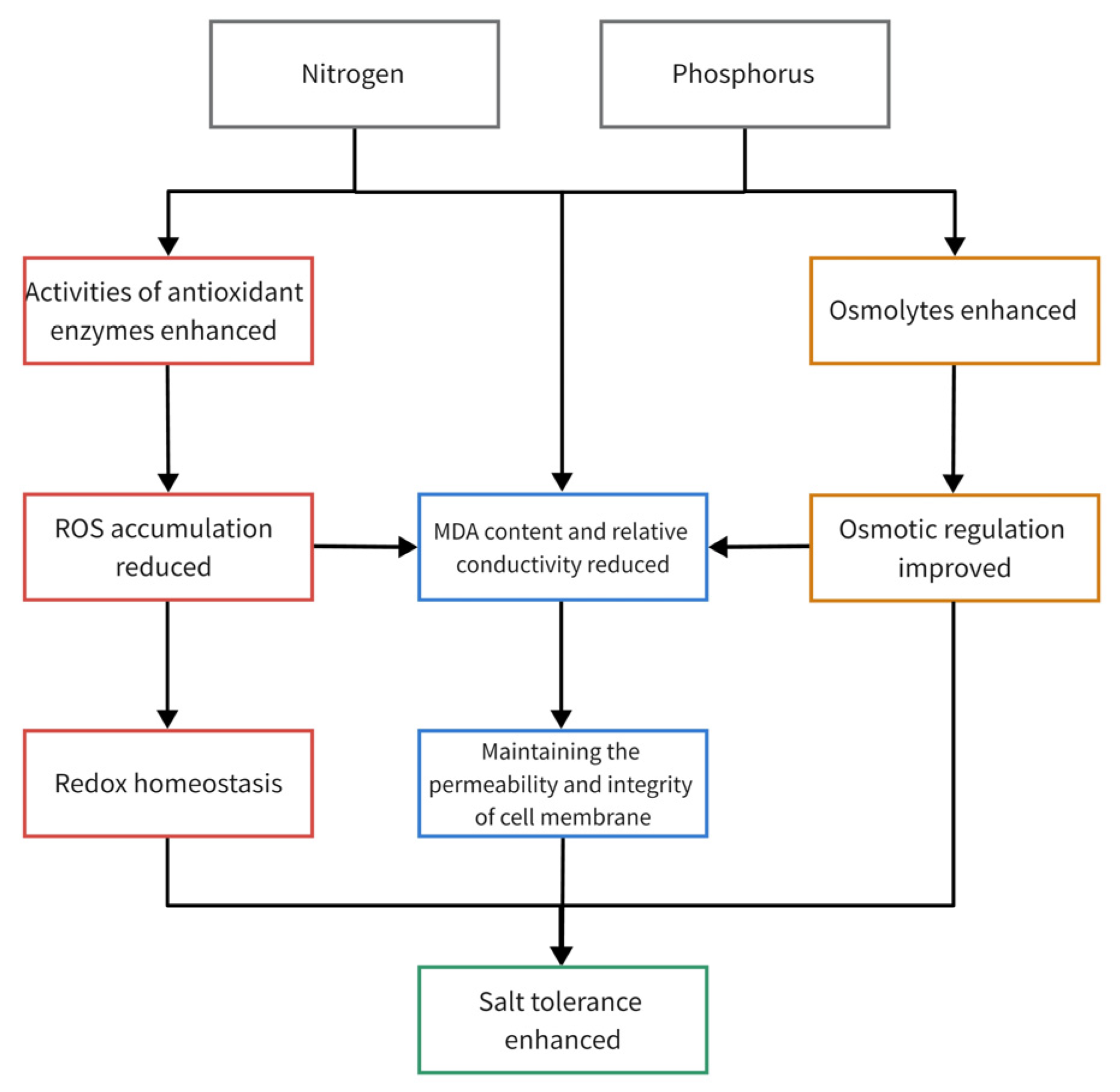 Agronomy 13 01020 g006