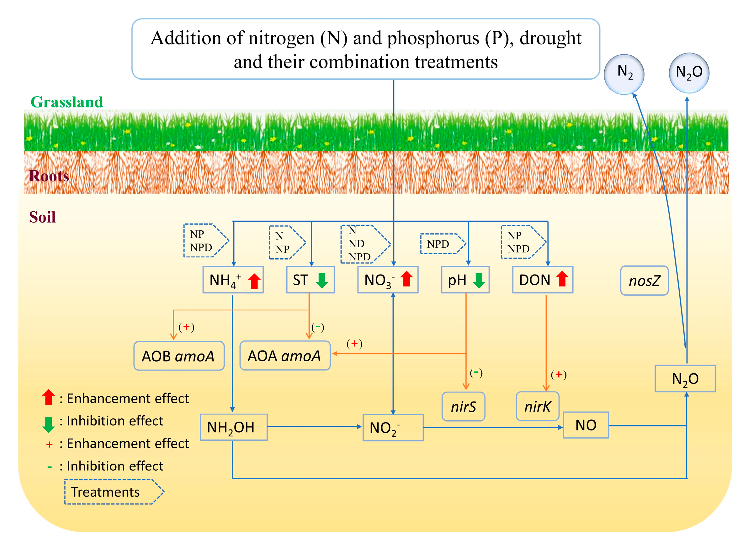 Agronomy 13 01041 g006