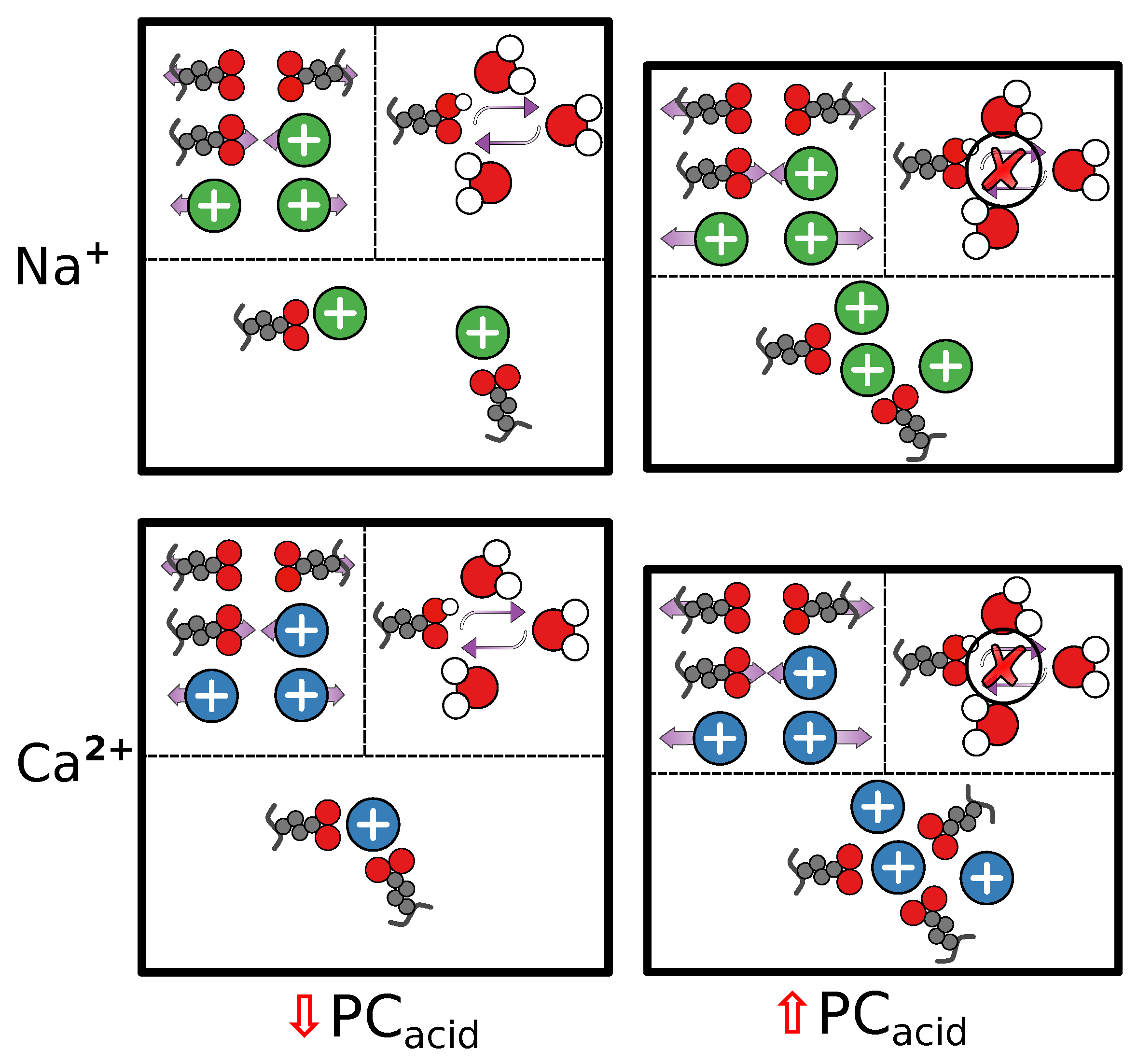 Agronomy 13 01044 g011