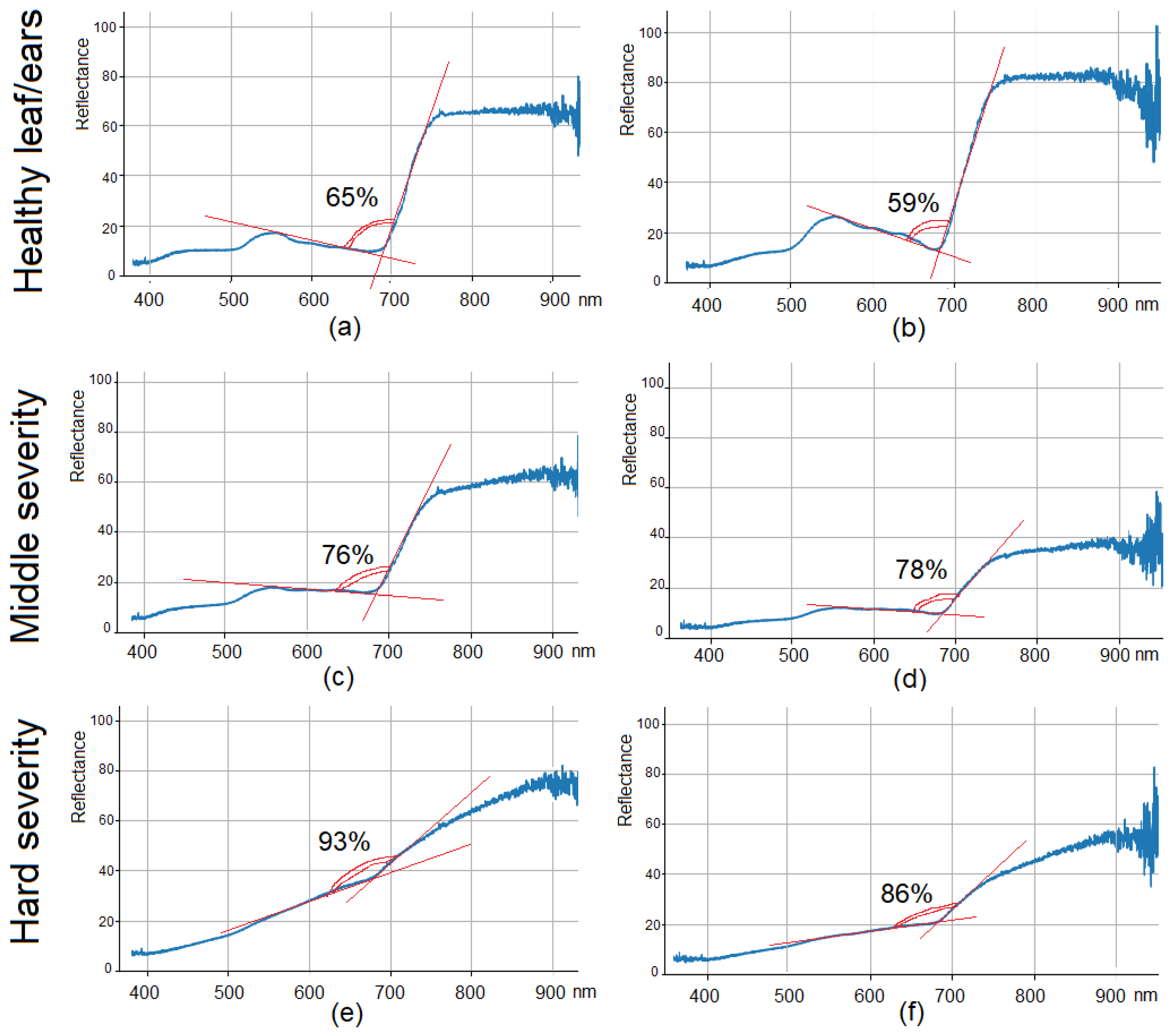 Agronomy 13 01045 g007