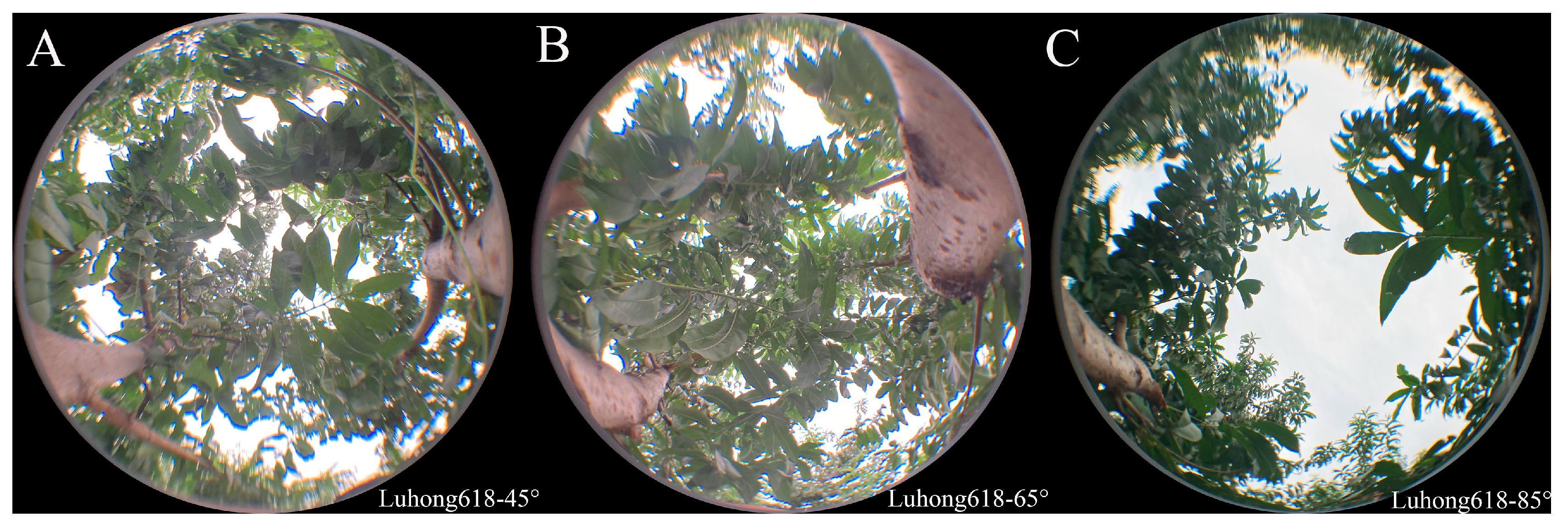 Agronomy 13 01058 g003 Agronomy 13 01058 g003