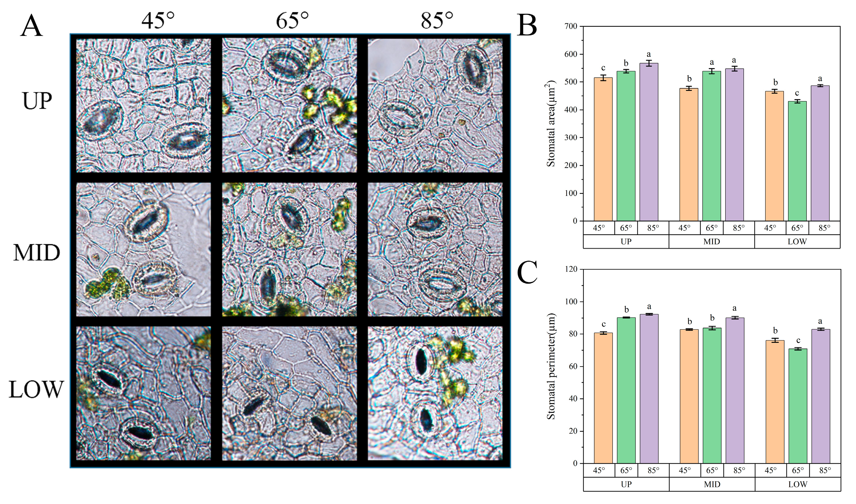 Agronomy 13 01058 g008 Agronomy 13 01058 g008