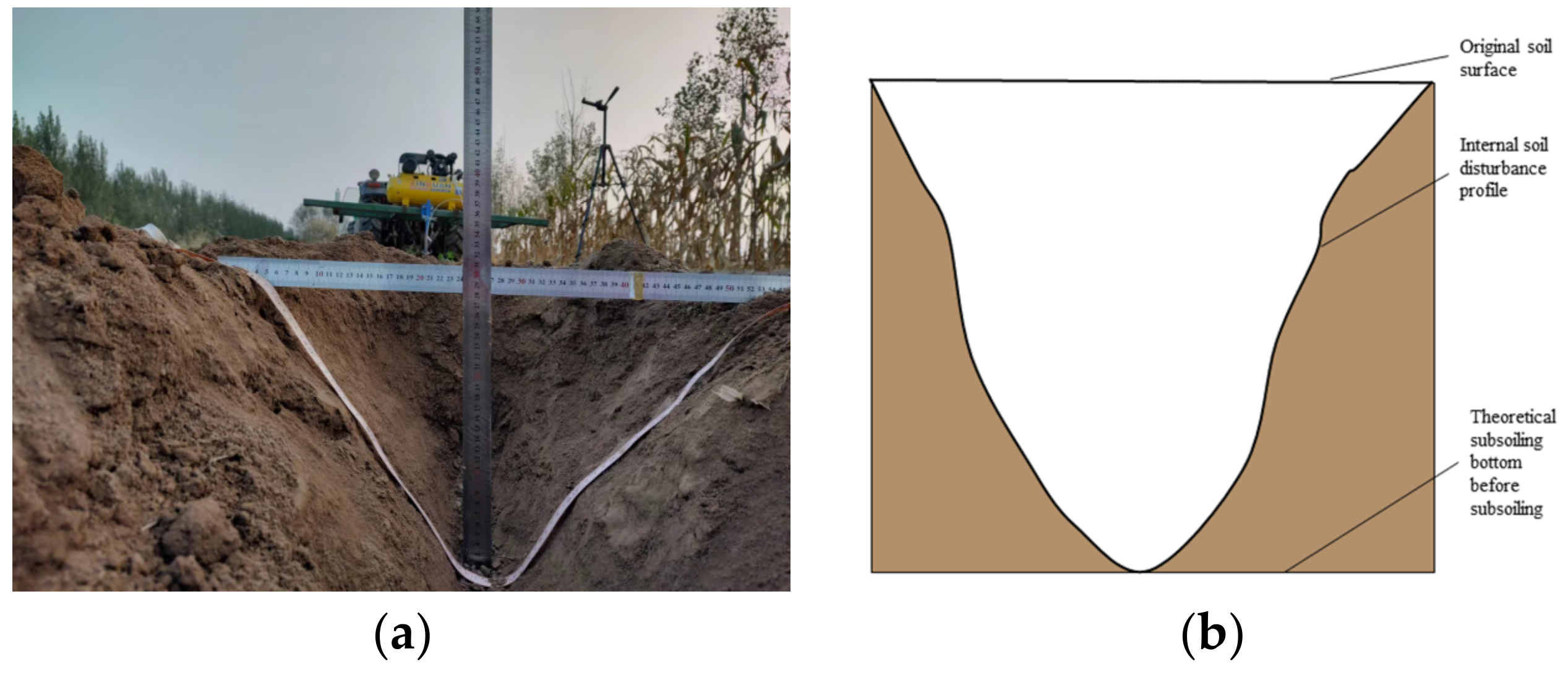 Agronomy 13 01079 g005