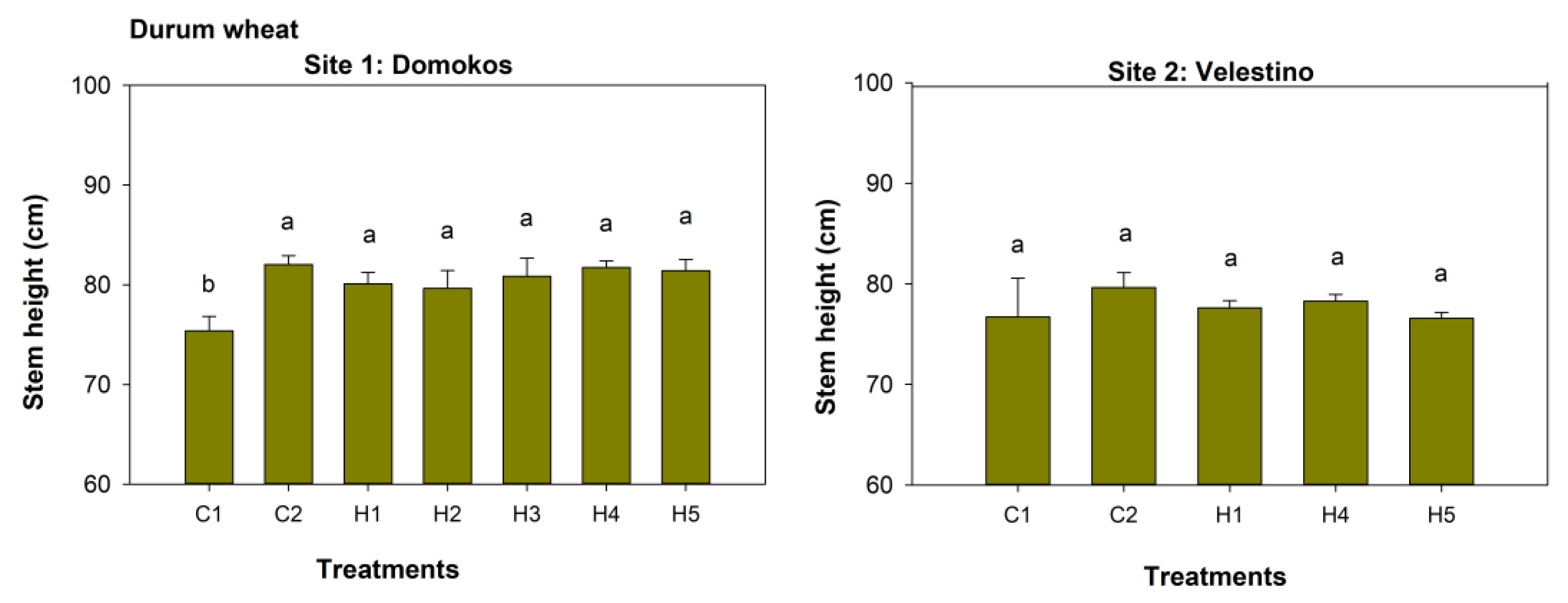 Agronomy 13 01087 g006