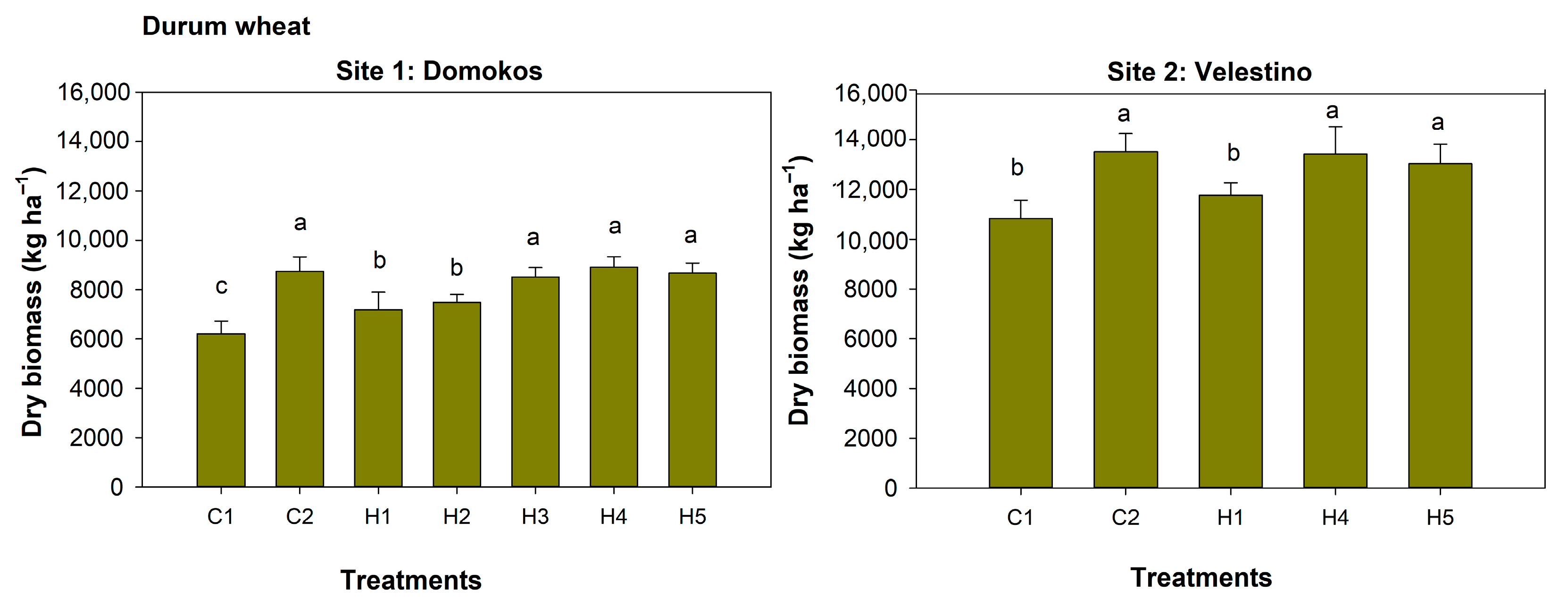 Agronomy 13 01087 g007