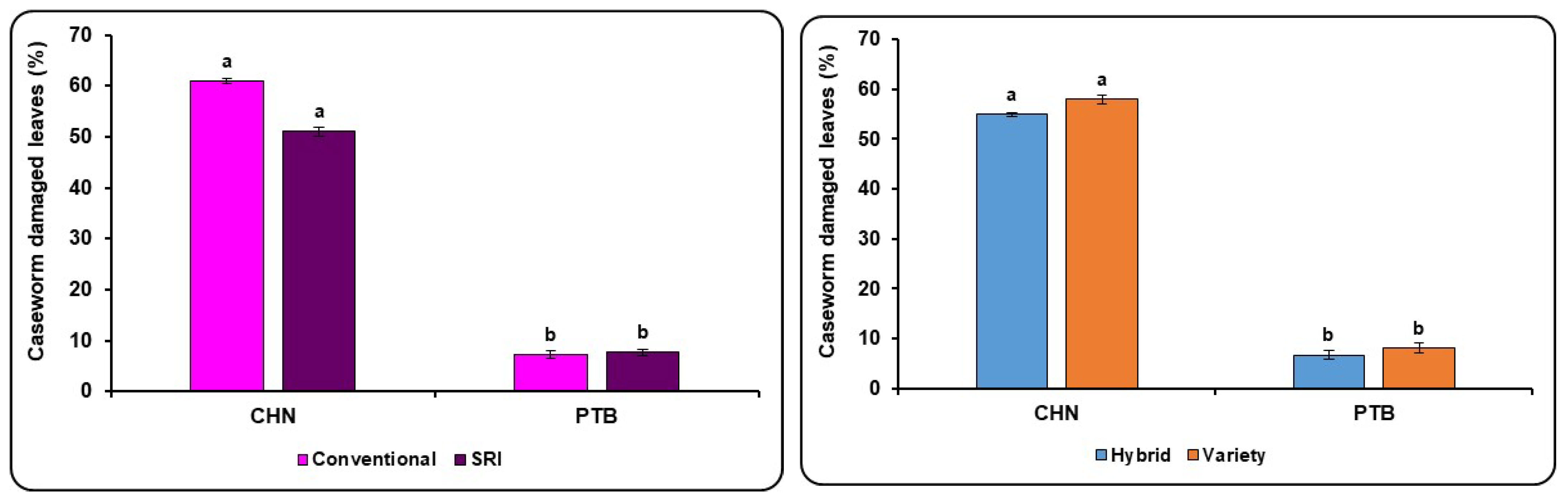 Agronomy 13 01100 g005