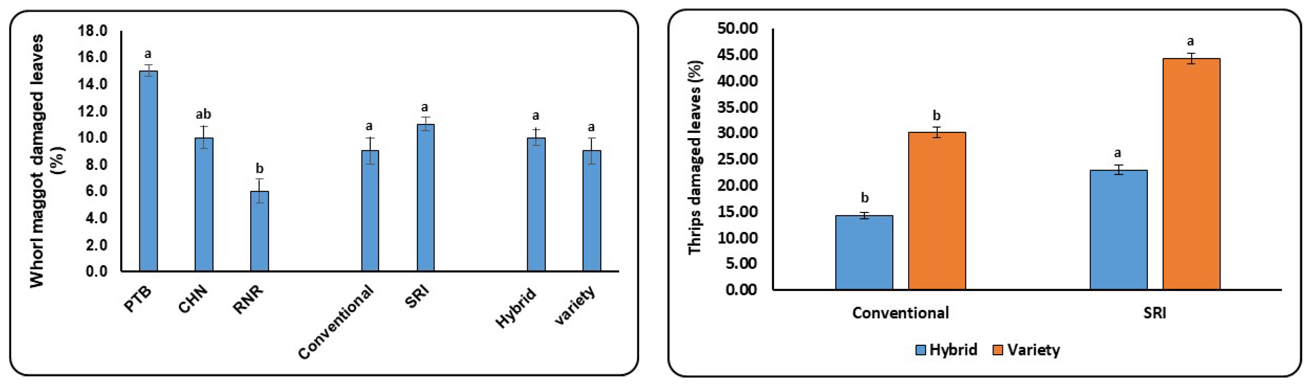 Agronomy 13 01100 g007