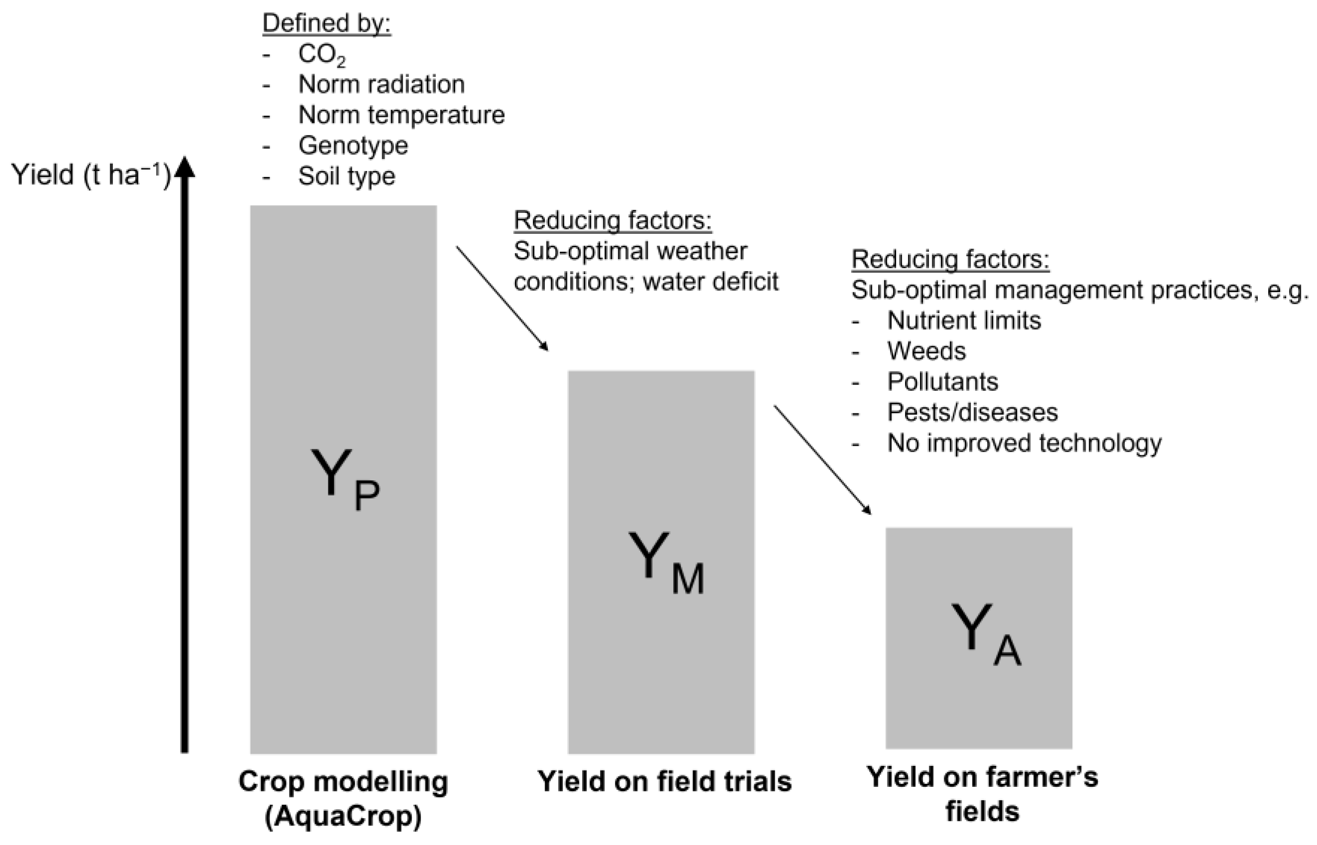 Agronomy 13 01104 g002