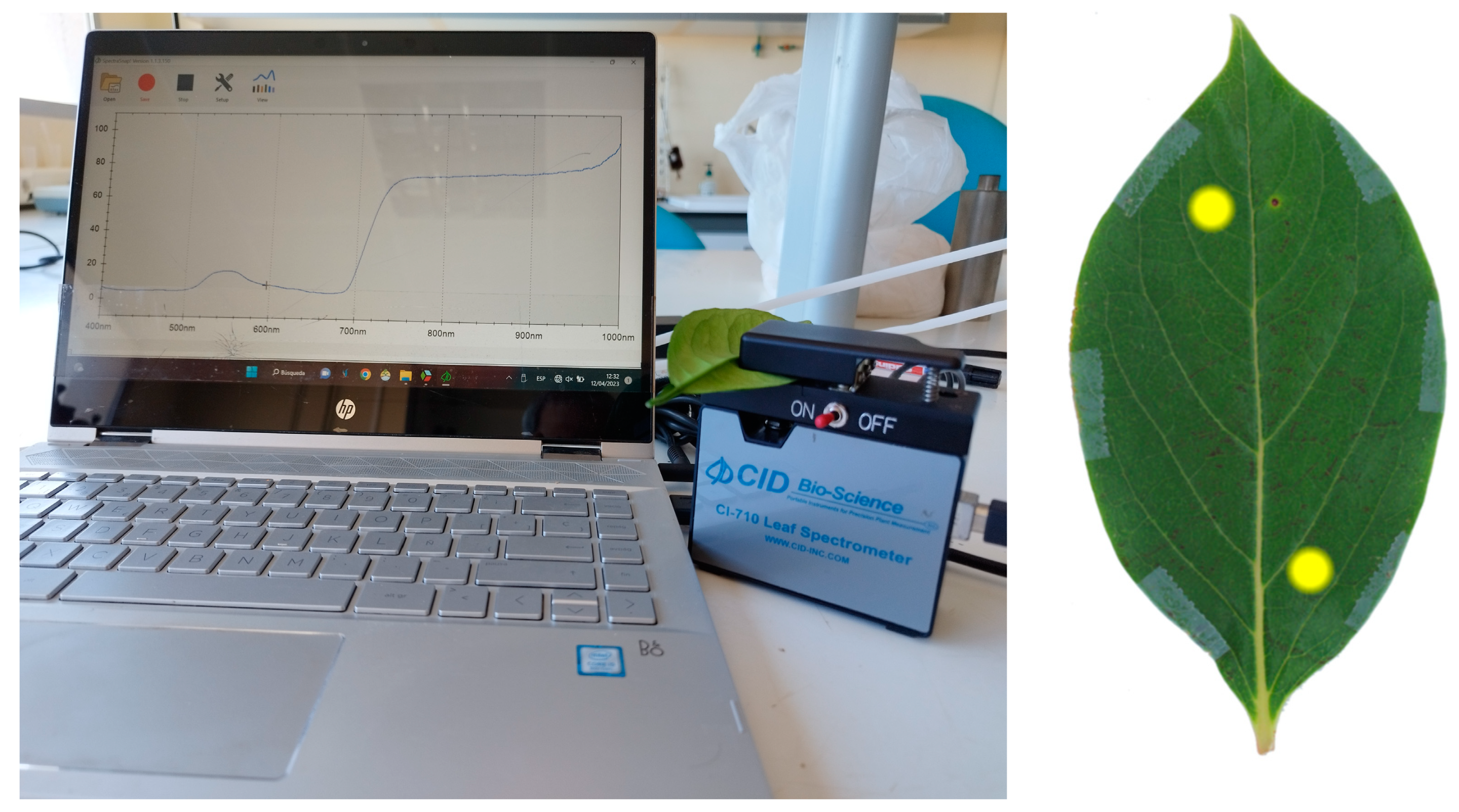 Agronomy 13 01105 g002