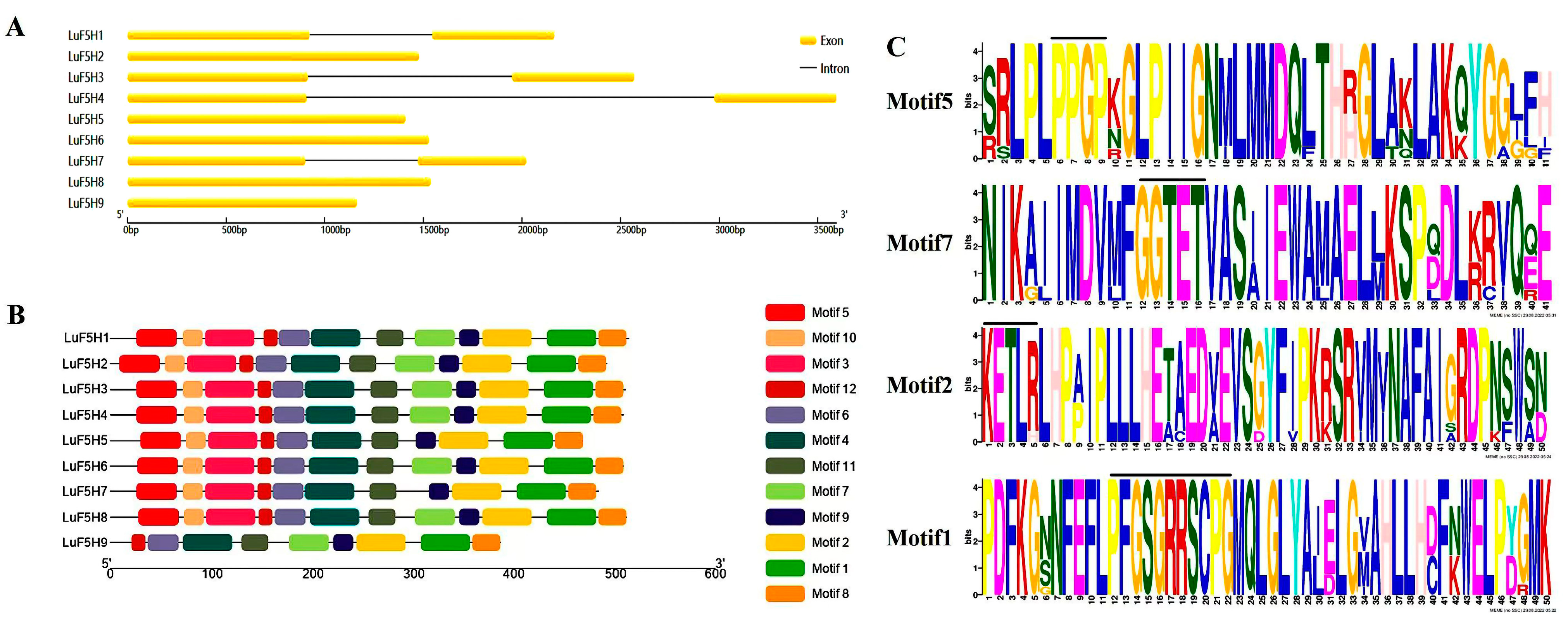 Agronomy 13 01108 g002