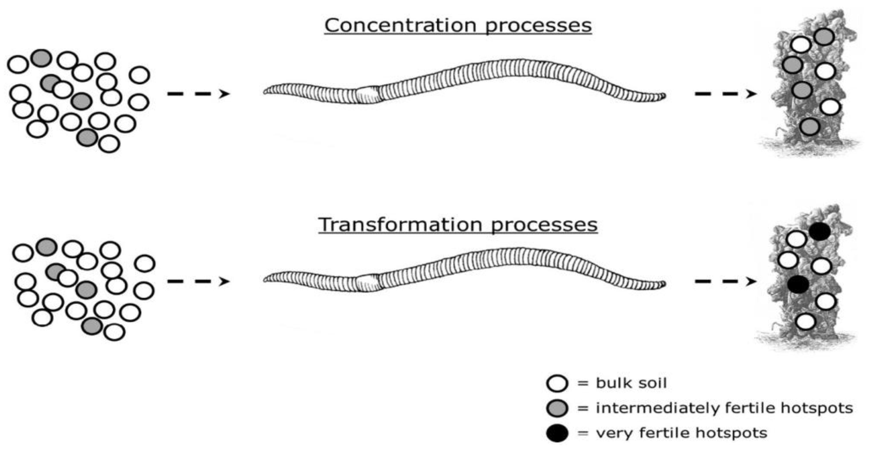 Agronomy 13 01134 g002