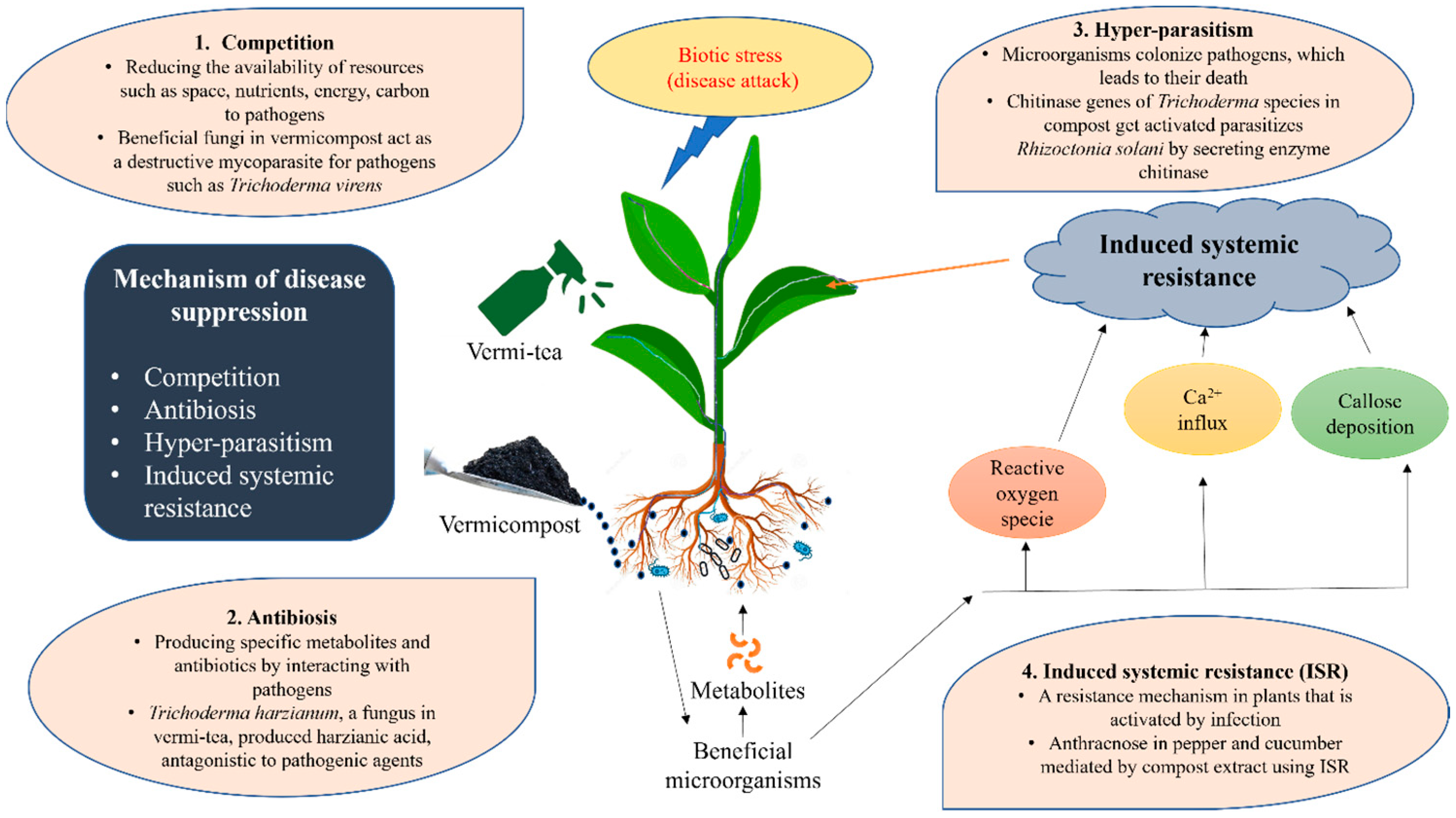 Agronomy 13 01134 g004