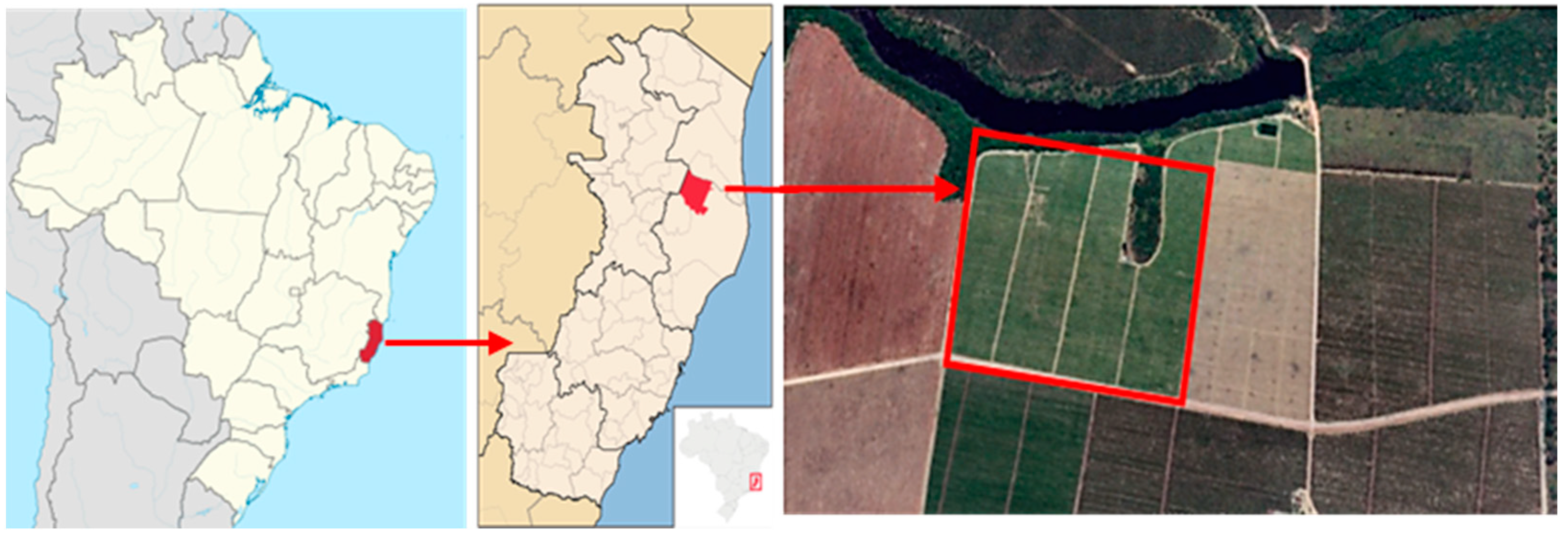 Agronomy 13 01138 g001 Agronomy 13 01138 g001