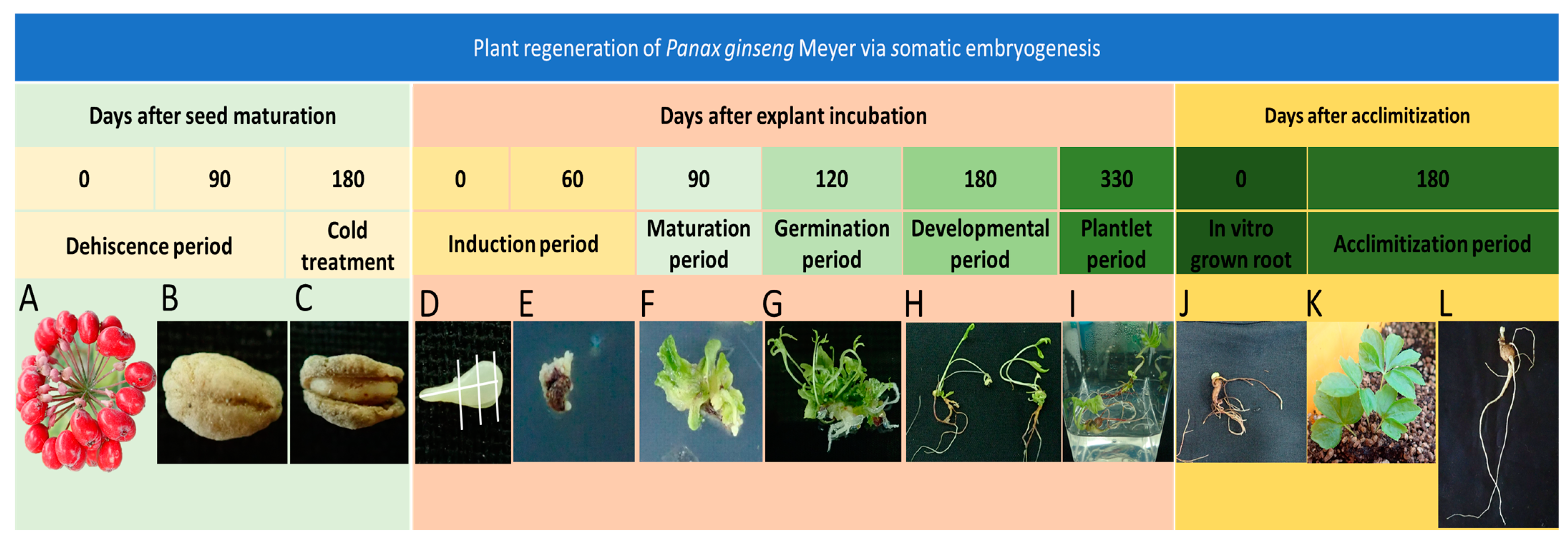 Agronomy 13 01139 g001