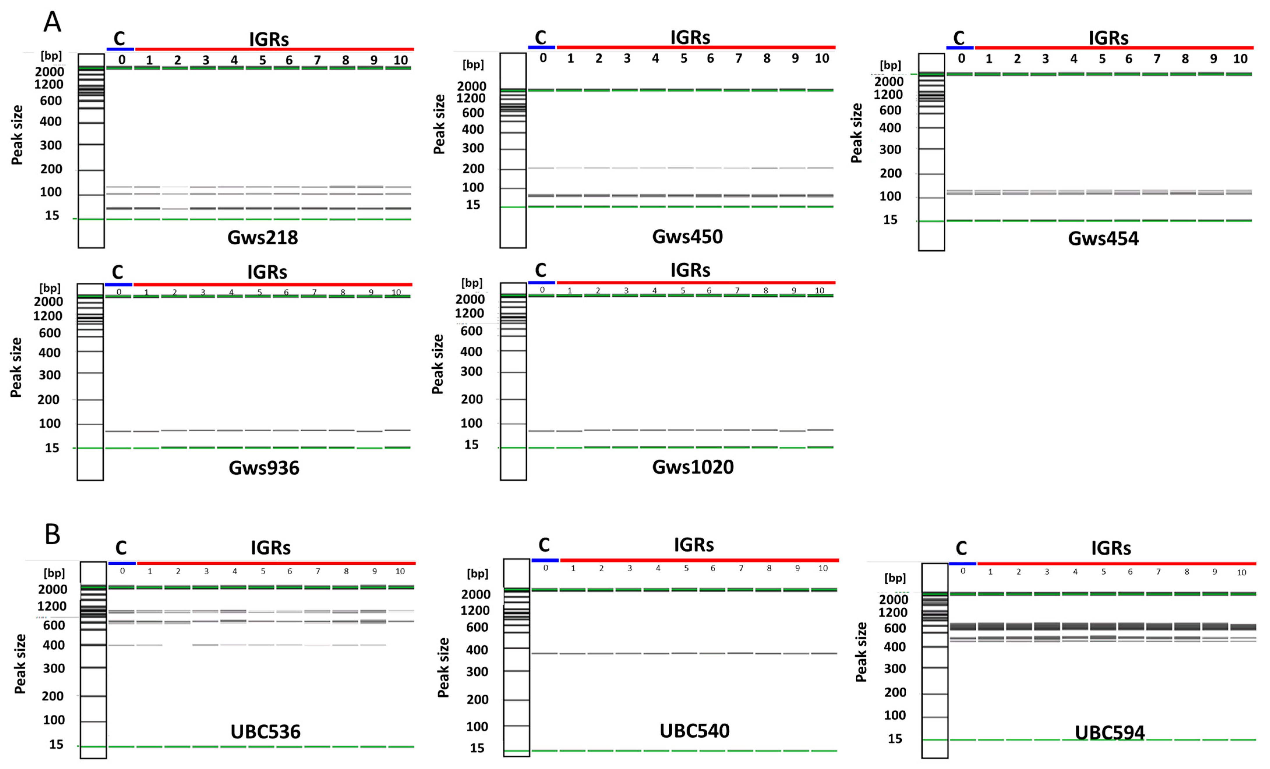 Agronomy 13 01139 g005