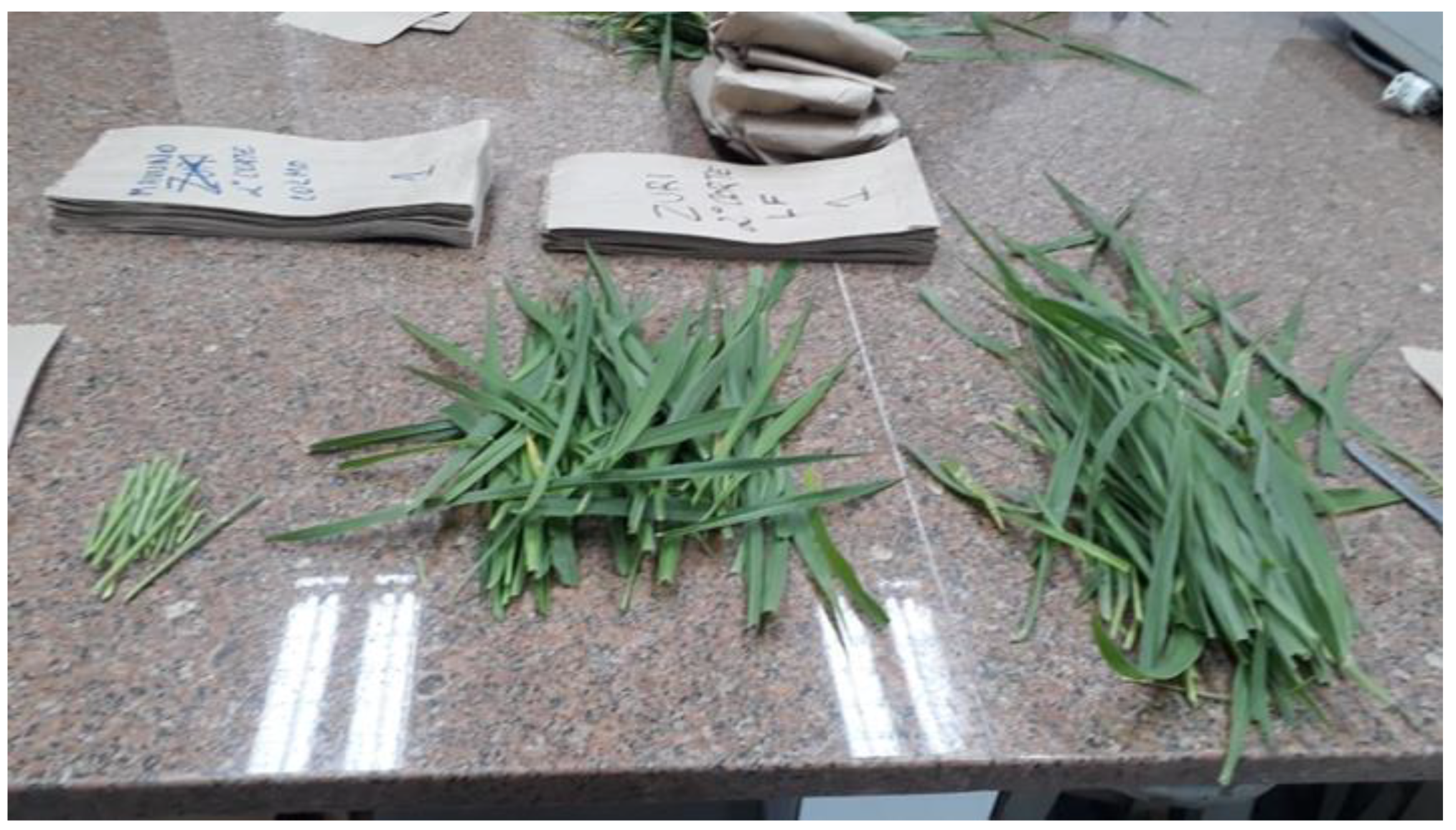 Agronomy 13 01145 g003