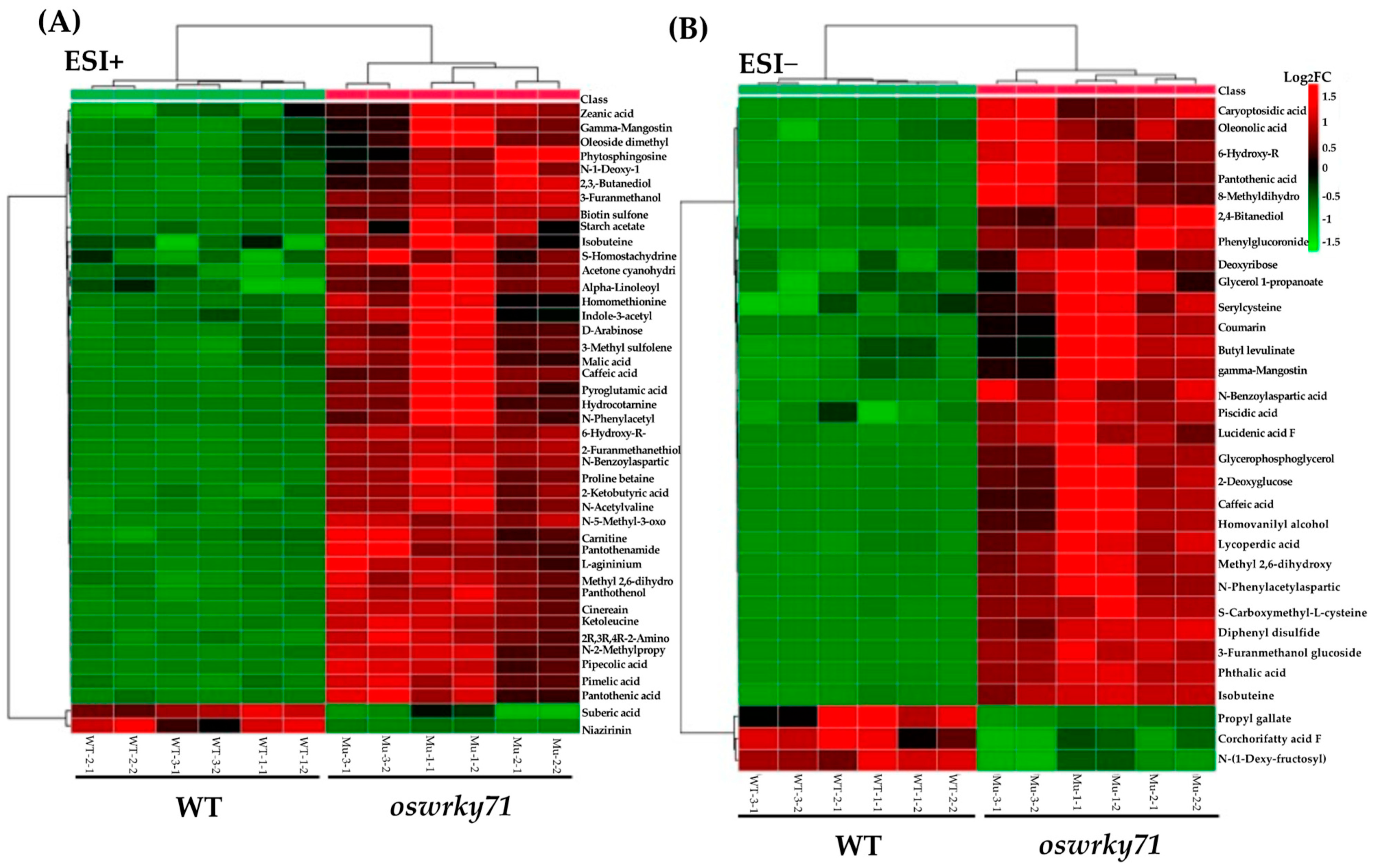 Agronomy 13 01149 g004