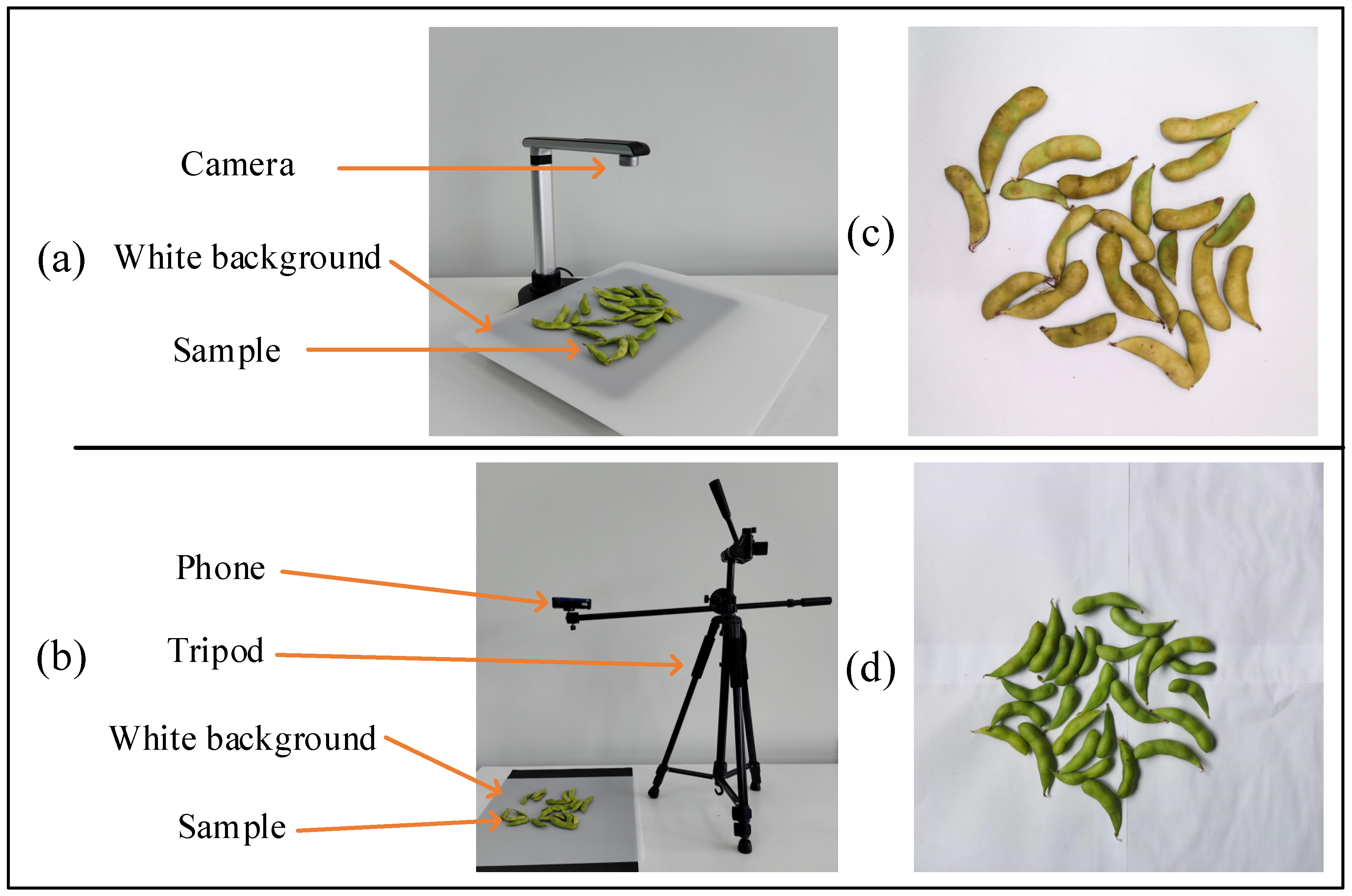 Agronomy 13 01154 g001