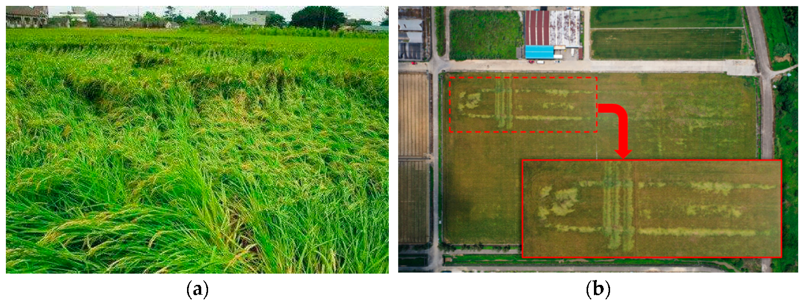 Agronomy 13 01178 g001 Agronomy 13 01178 g001