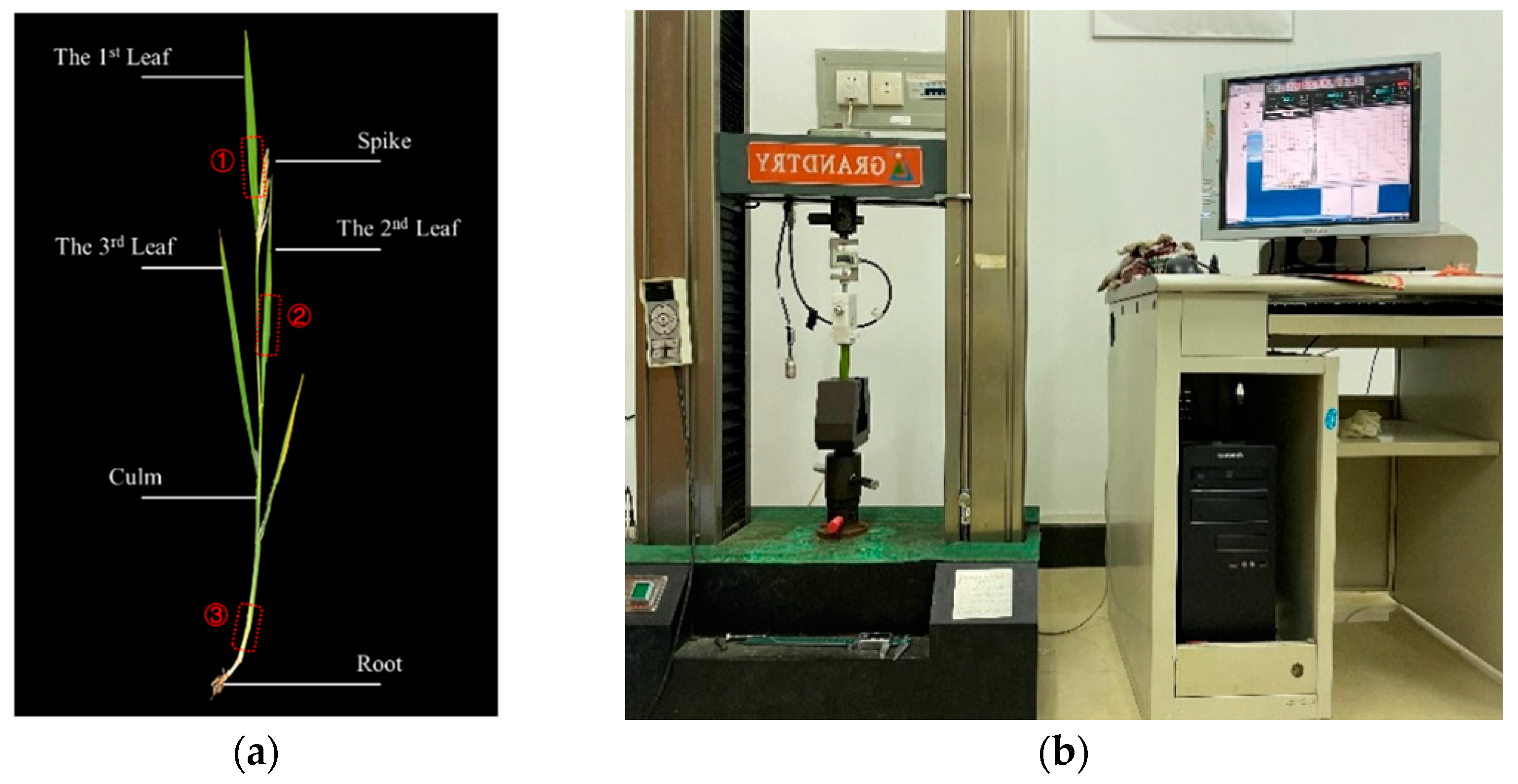 Agronomy 13 01178 g002 Agronomy 13 01178 g002