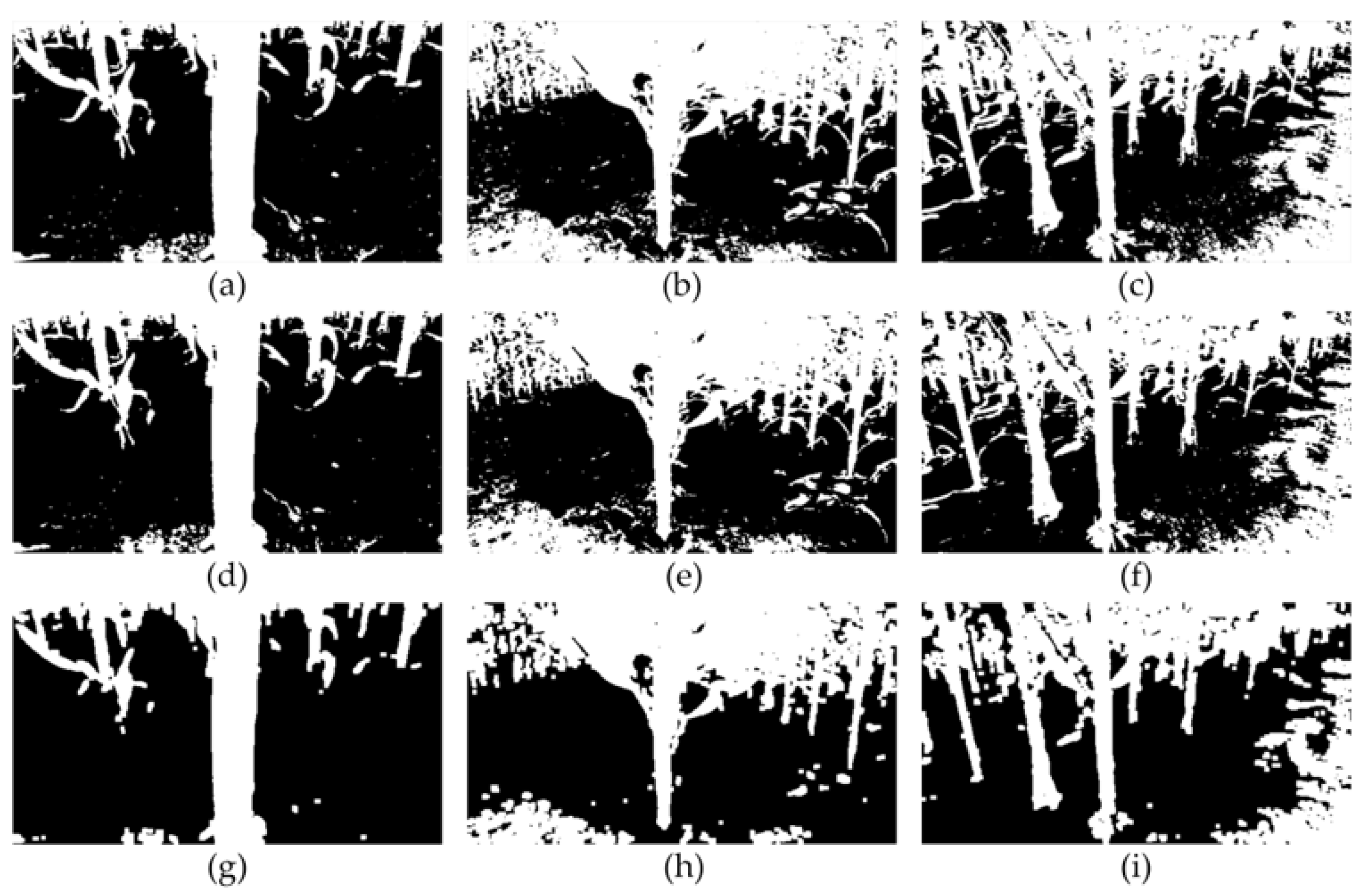 Agronomy 13 01185 g004