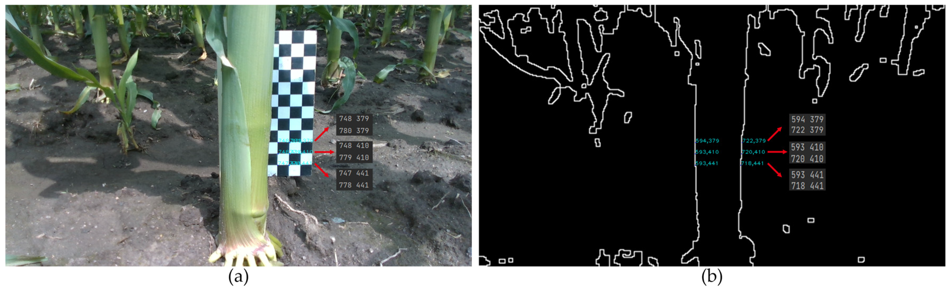 Agronomy 13 01185 g006