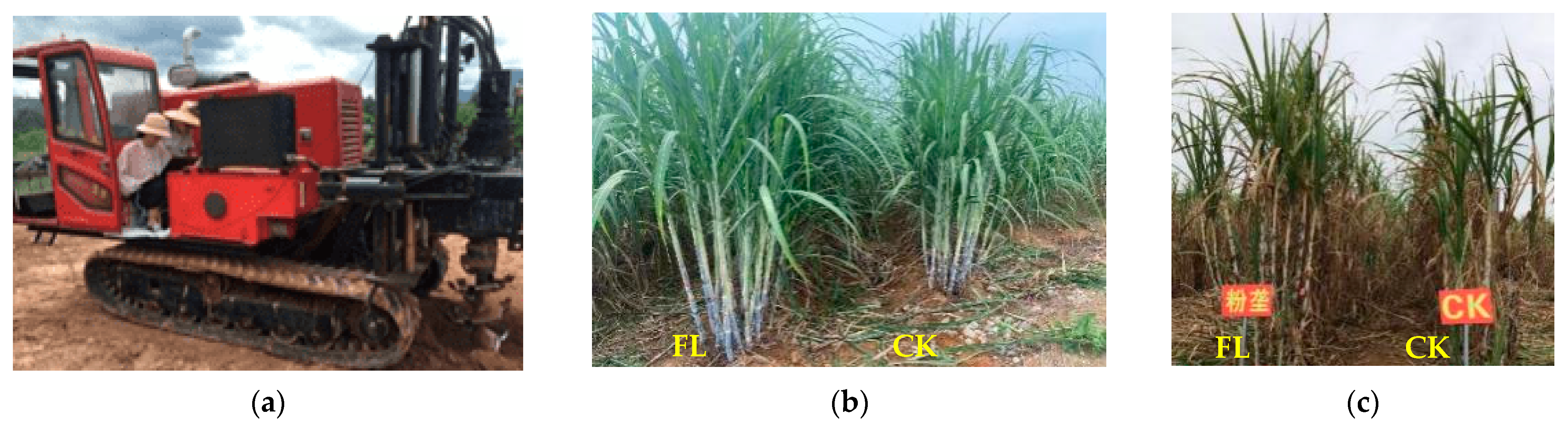 Agronomy 13 01196 g001