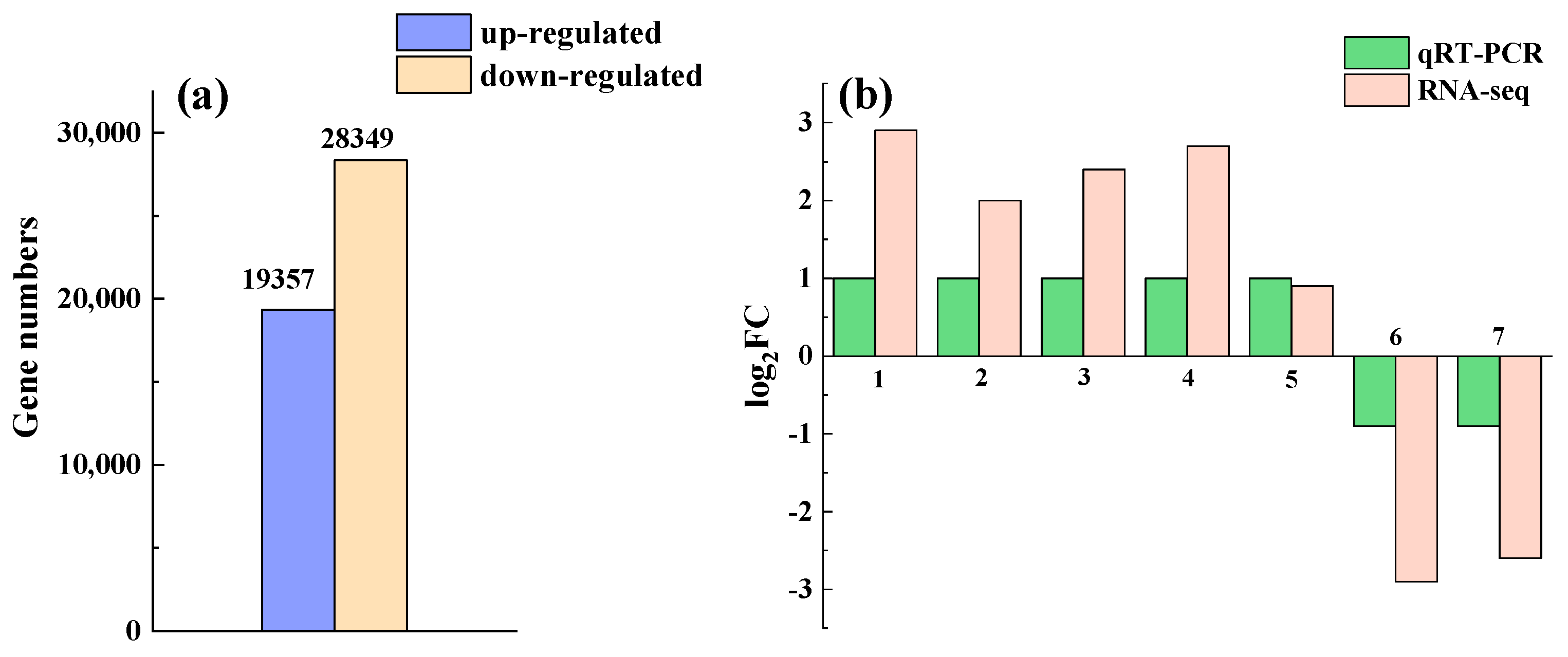 Agronomy 13 01196 g007