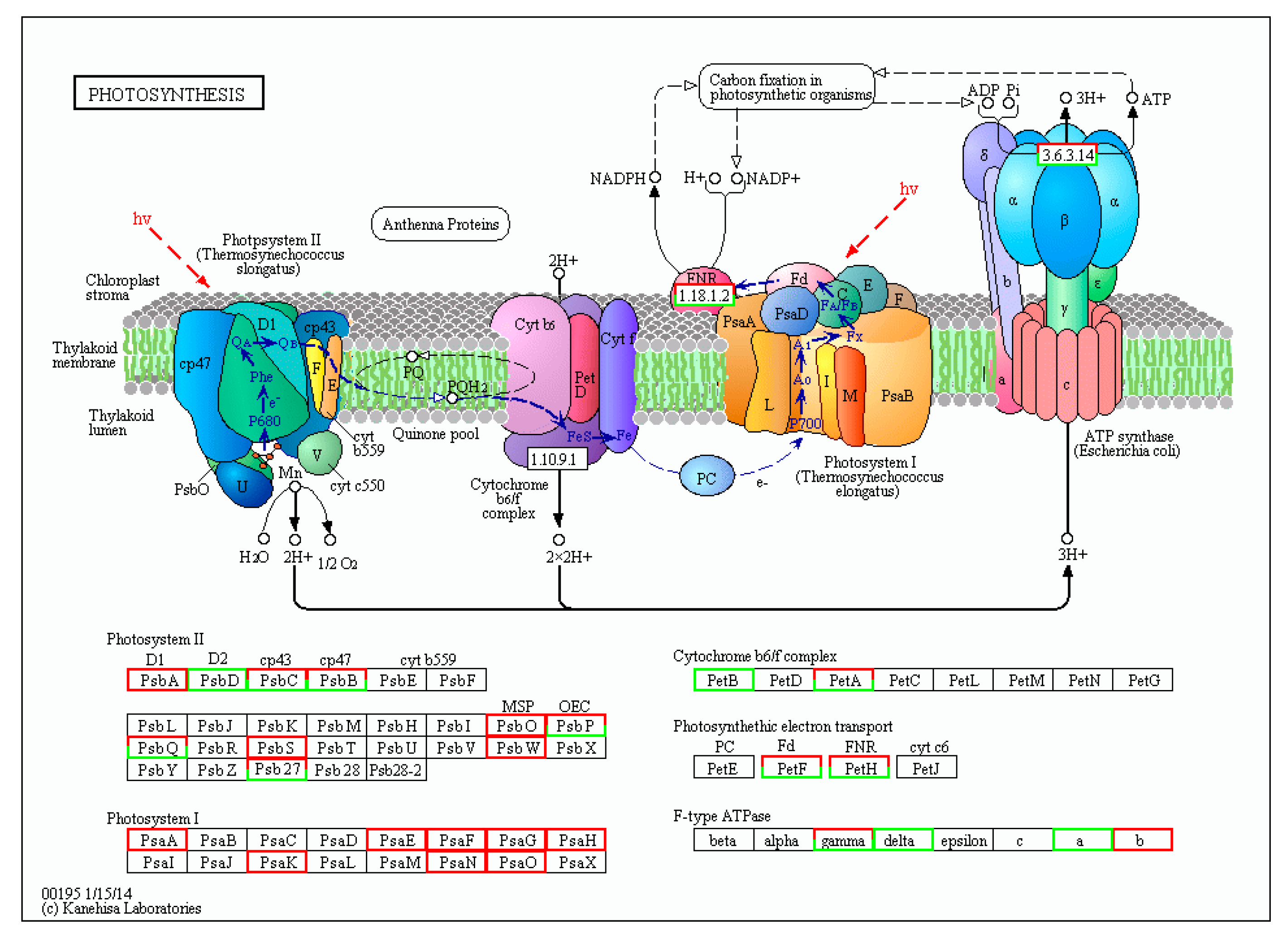 Agronomy 13 01196 g011