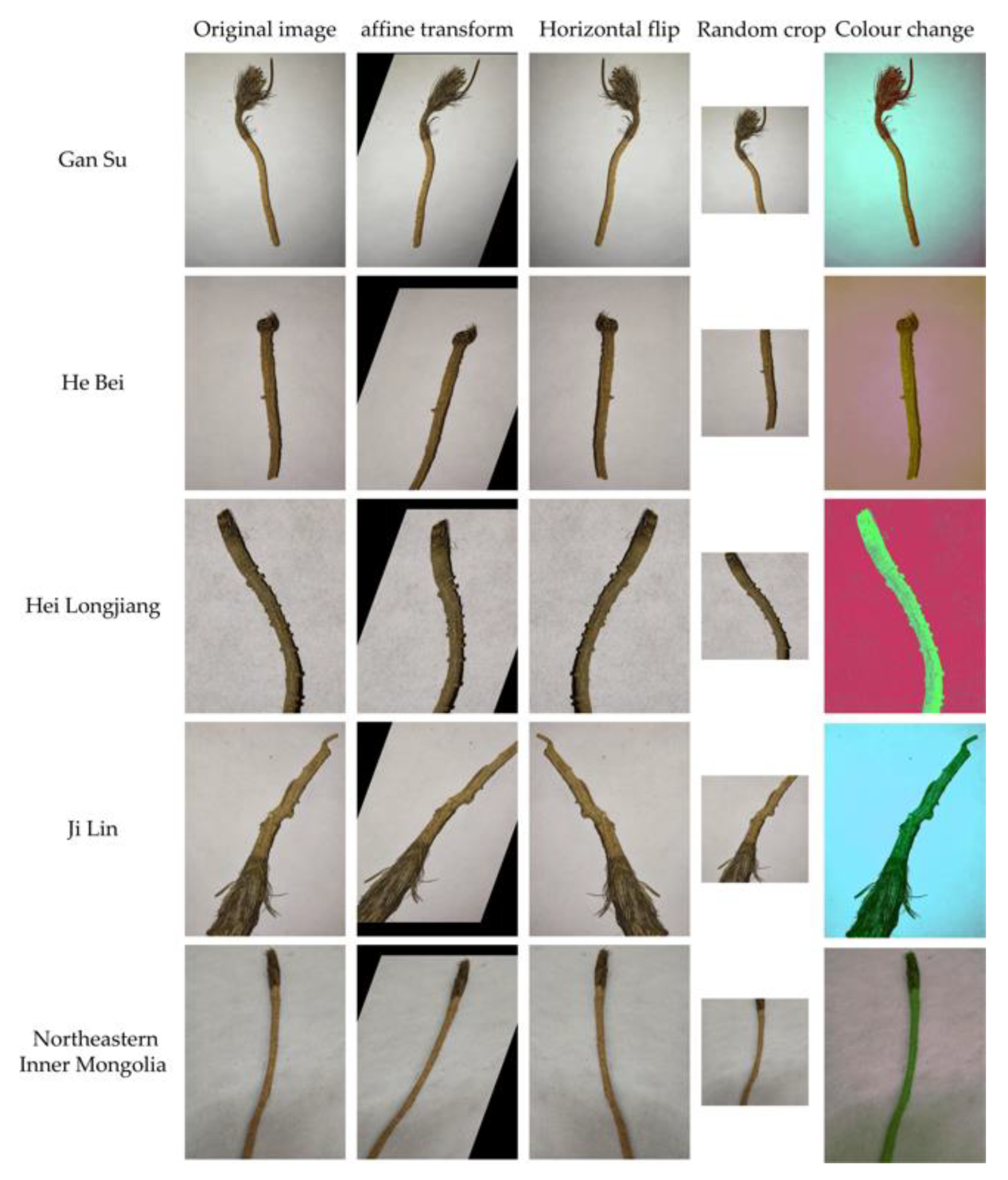 Agronomy 13 01199 g001