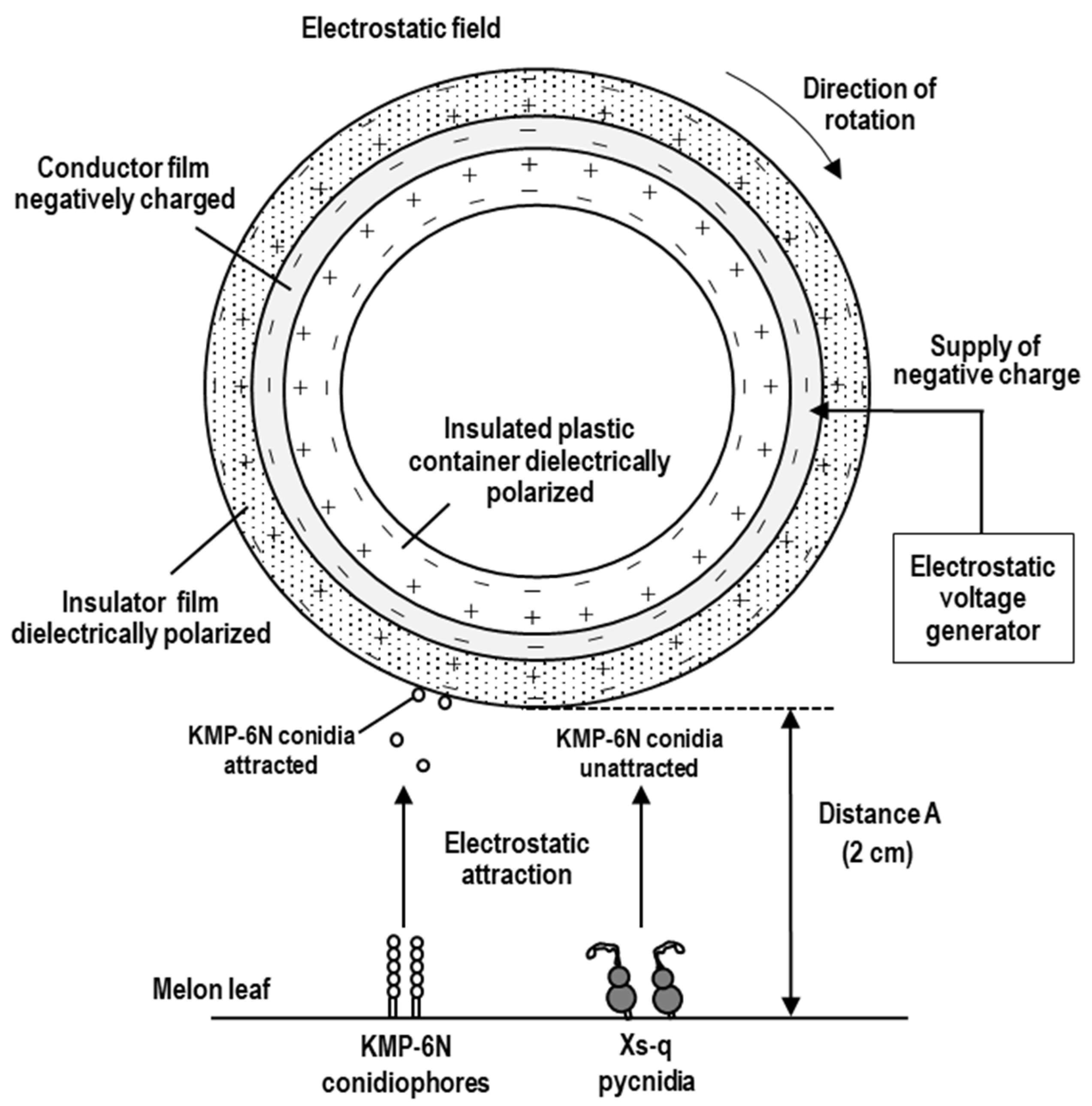 Agronomy 13 01204 g002