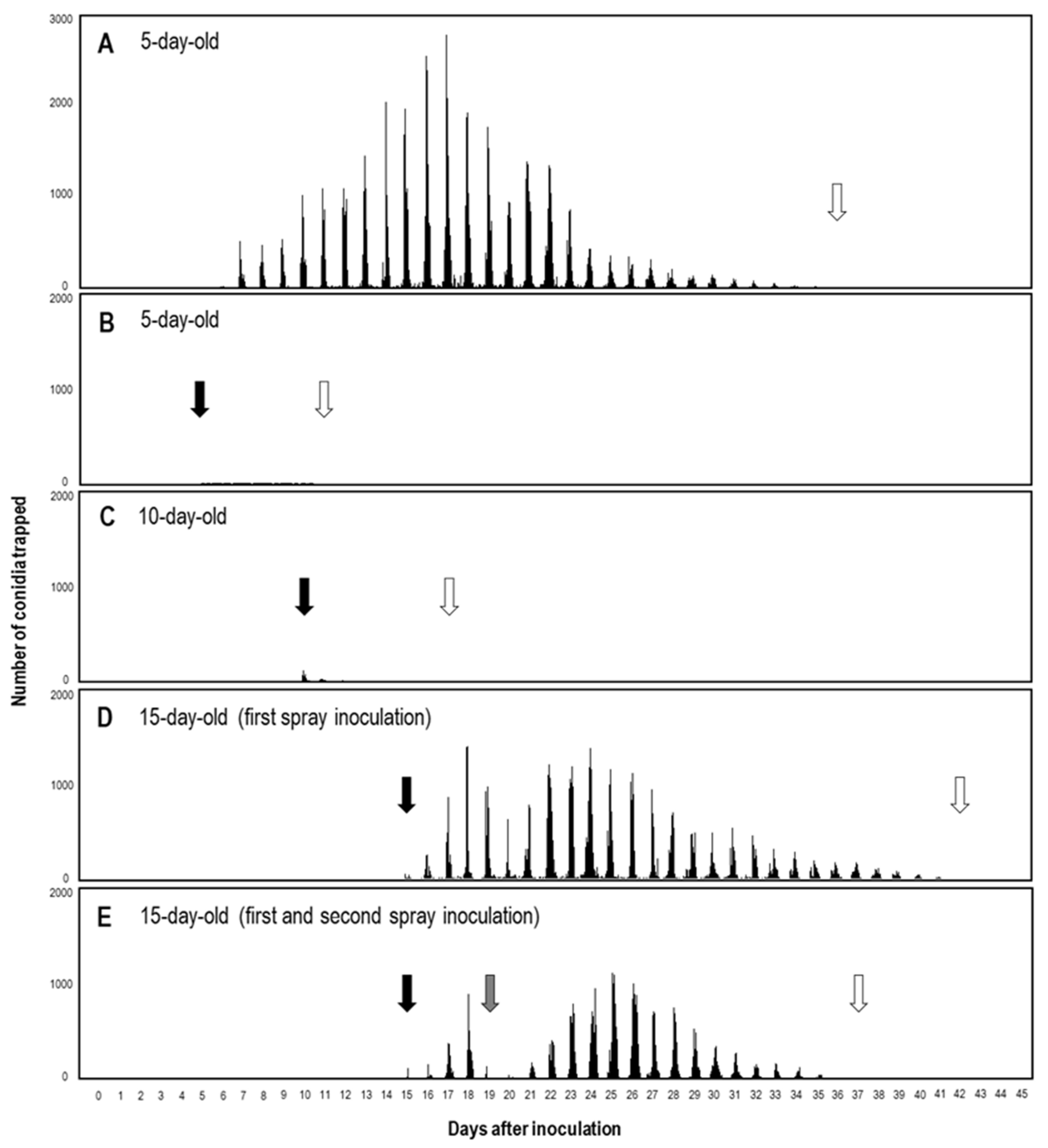 Agronomy 13 01204 g006