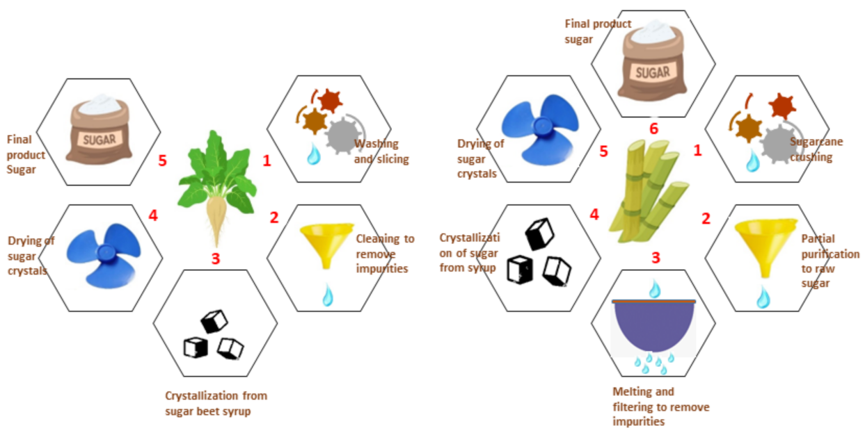 Agronomy 13 01213 g002